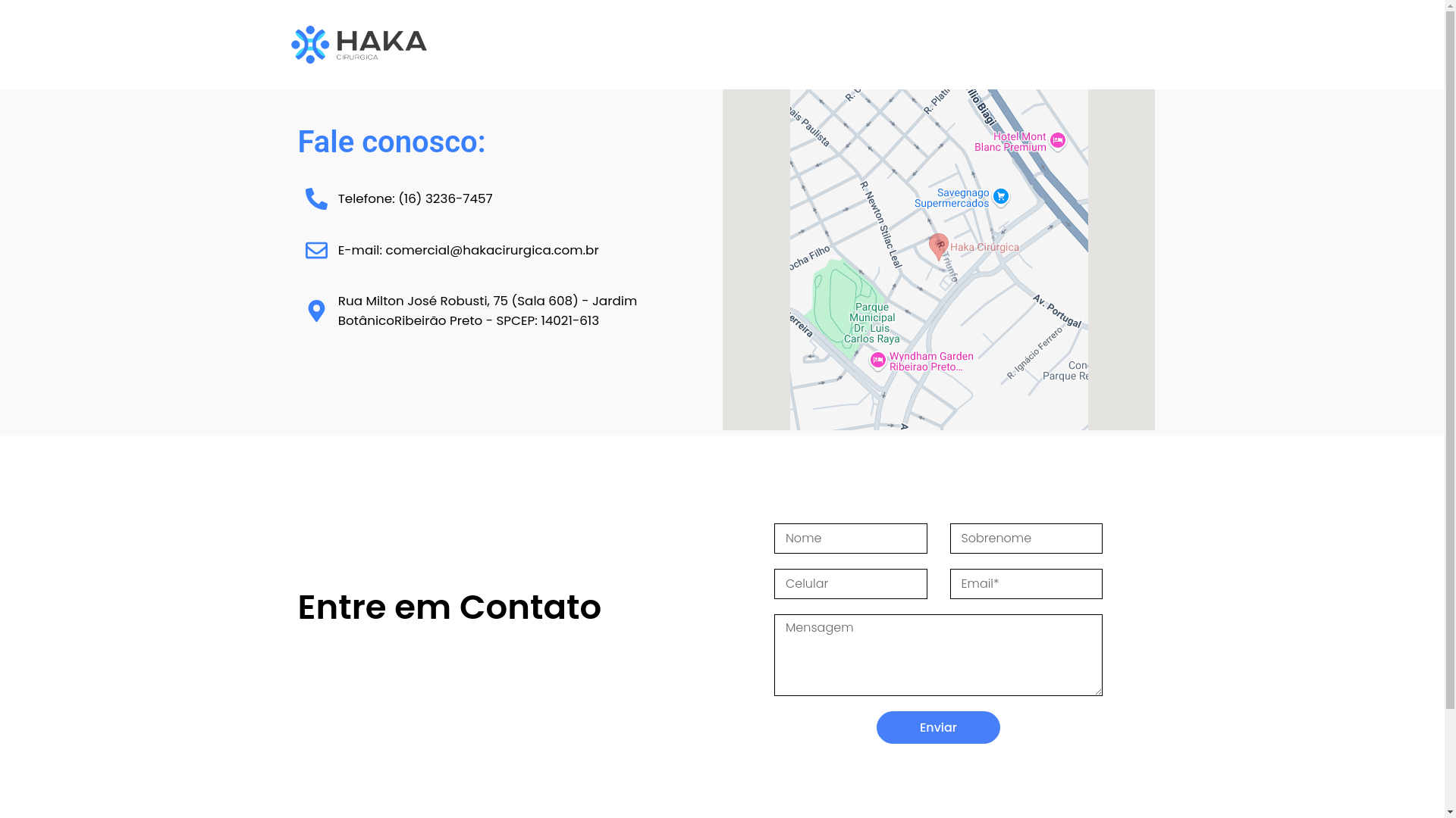 website screenshot of https://haka-contato.pages.dev/
