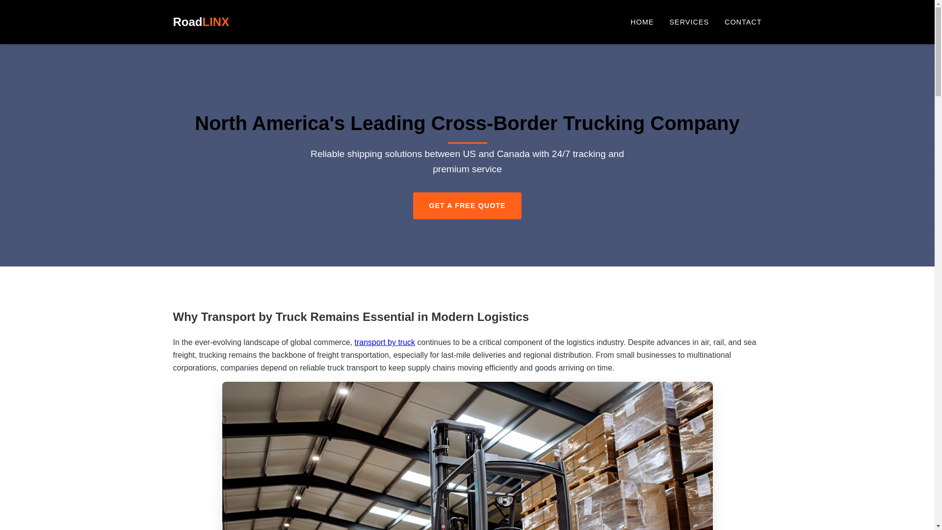 website screenshot of https://transport-by-truck.pages.dev/