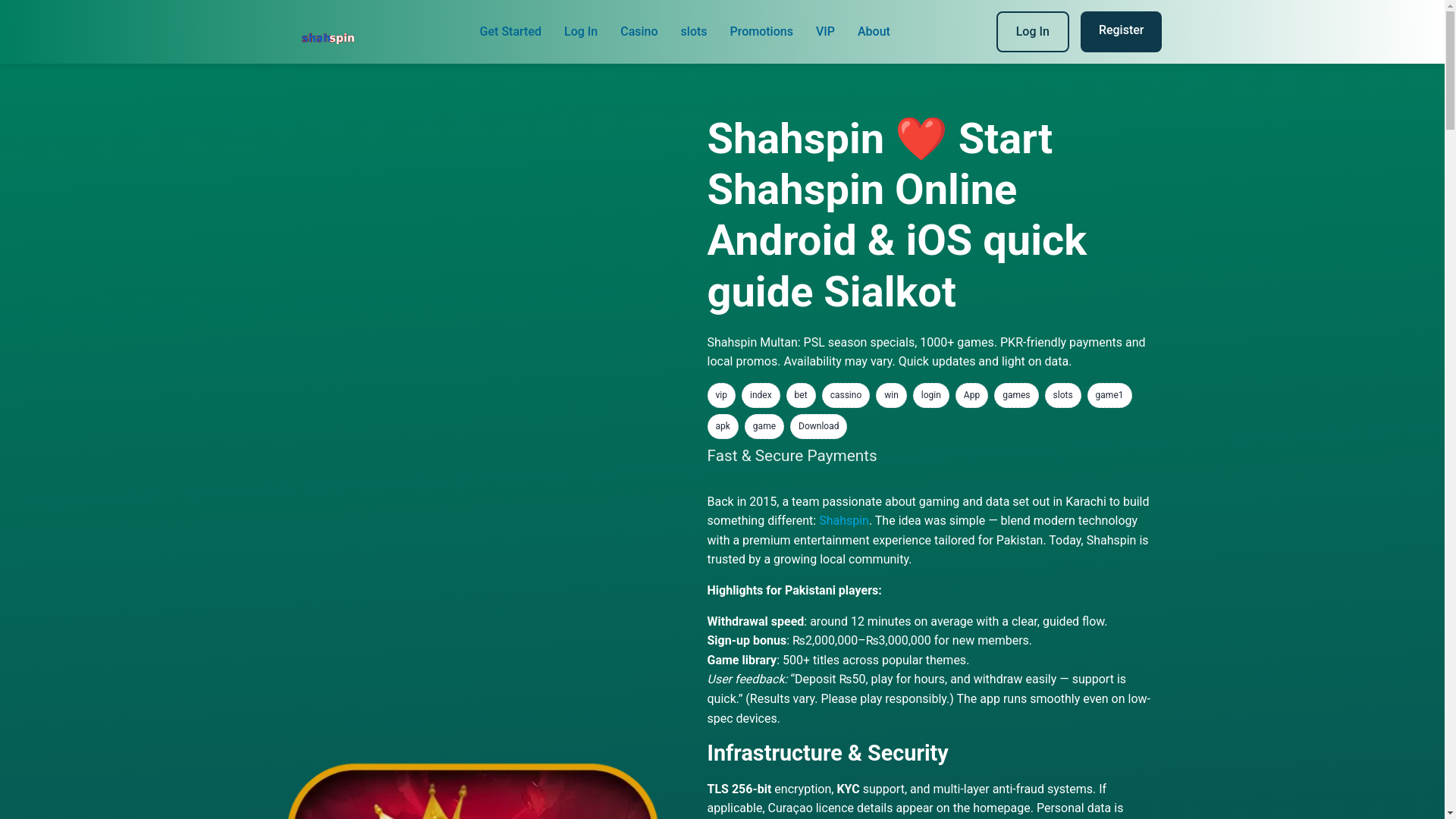 website screenshot of https://shahspini.com/