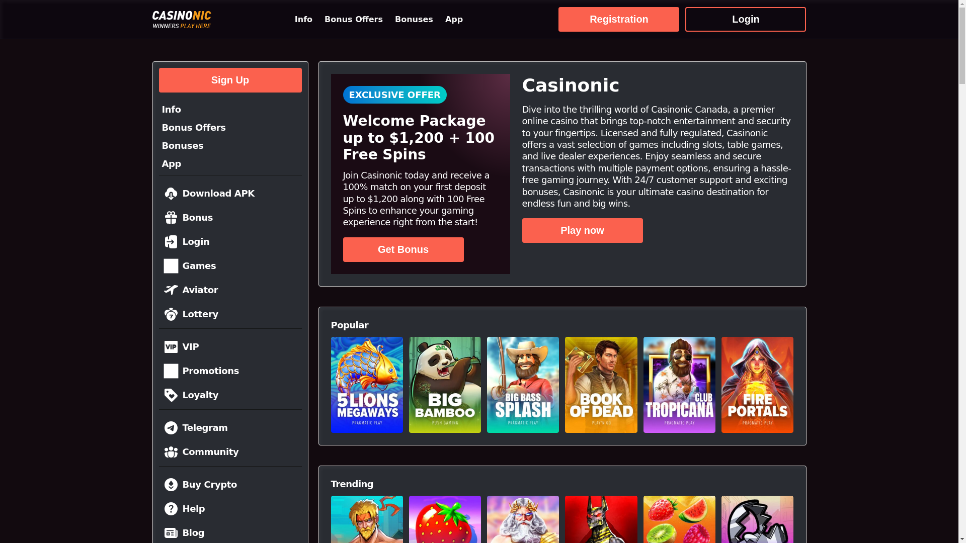 website screenshot of https://casinoniccasino.org/