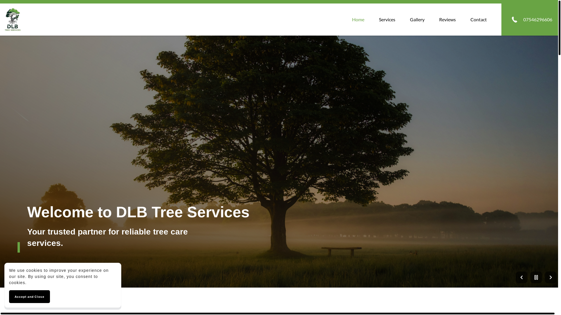website screenshot of https://dlbtreeservices.co.uk/