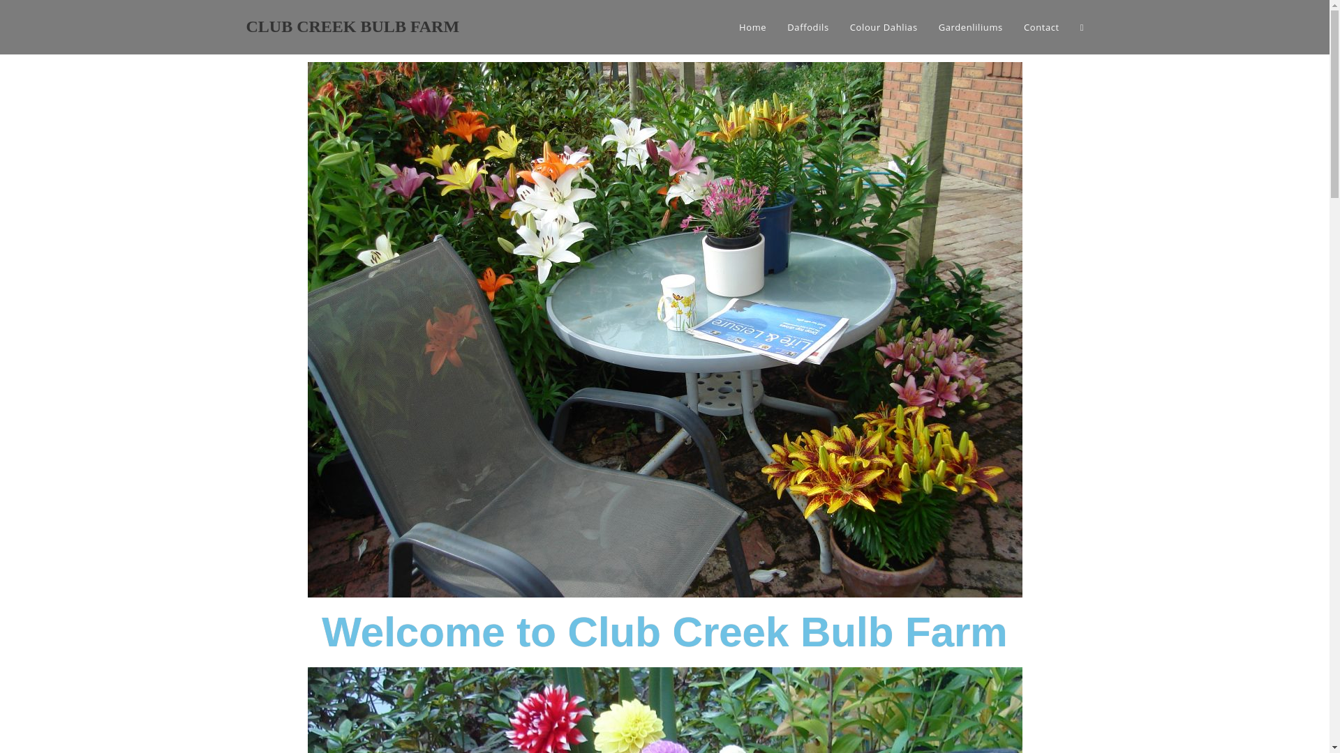 website screenshot of https://clubcreekbulbfarm.online/