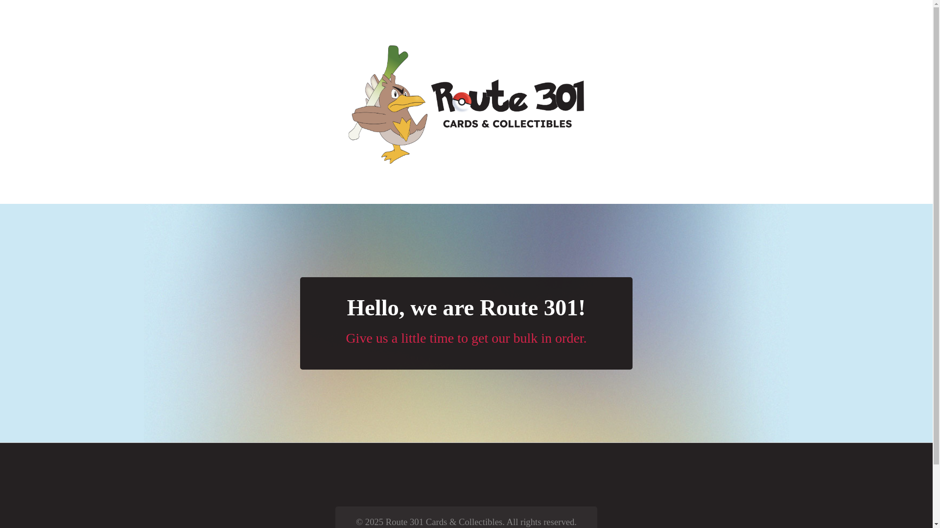 website screenshot of https://route301website.pages.dev/