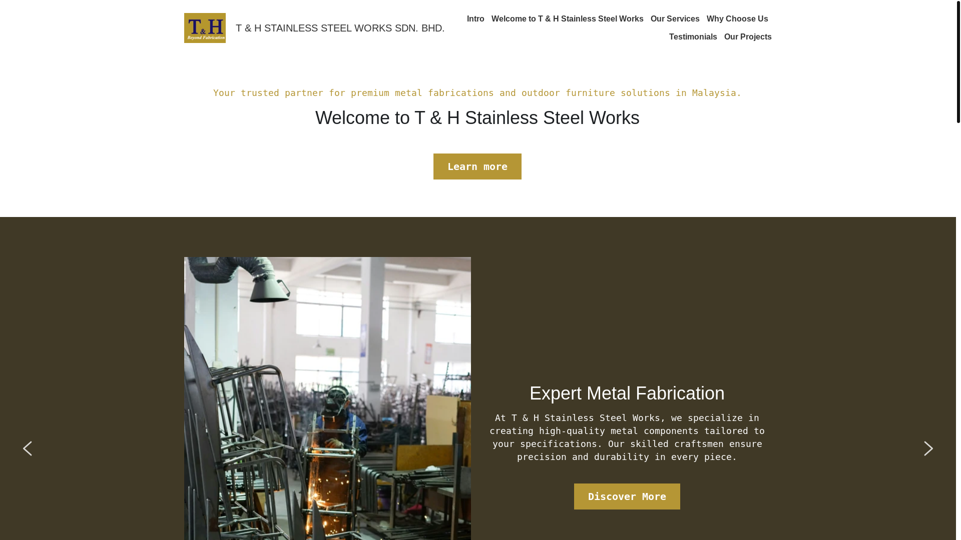 website screenshot of https://thsteel.cfd/