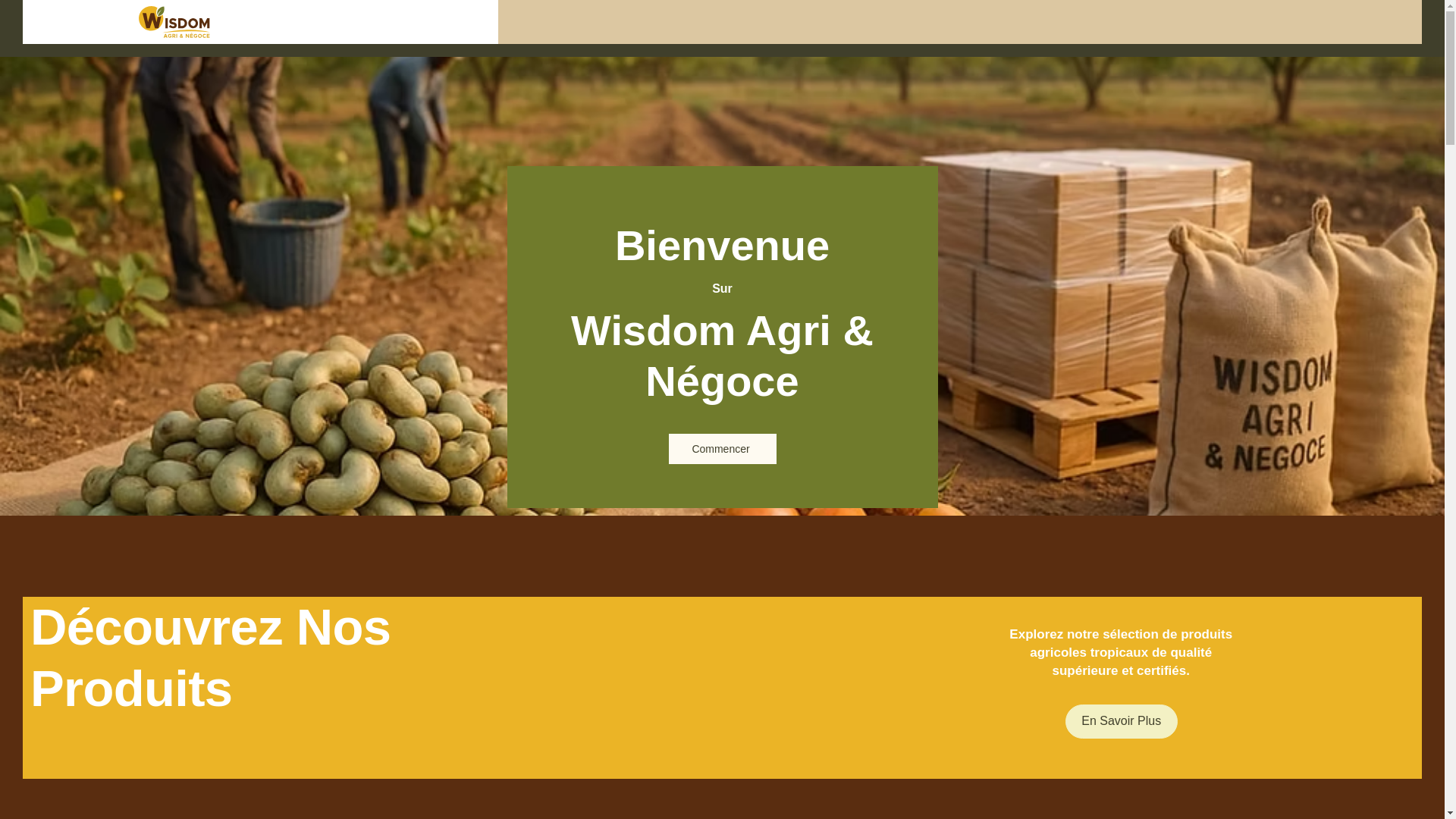 website screenshot of https://wisdomagrietnegoce.com/