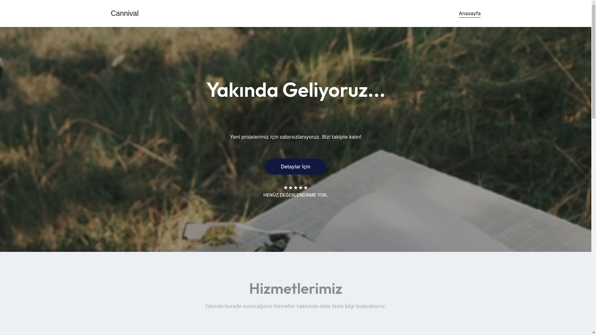 website screenshot of https://connval.az/