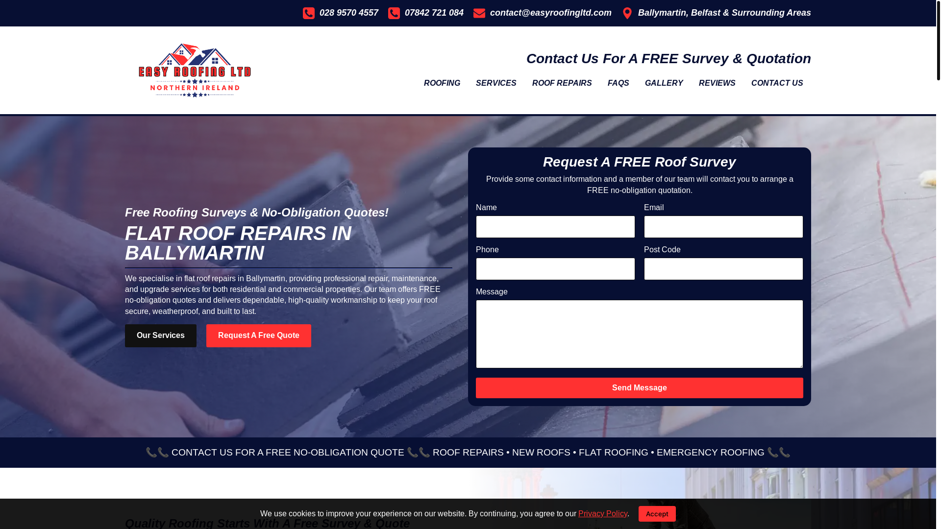 website screenshot of https://flatroofrepairsinballymartin.co.uk/