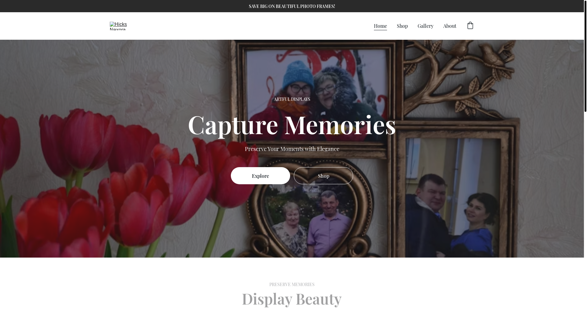website screenshot of https://hicksne.com/