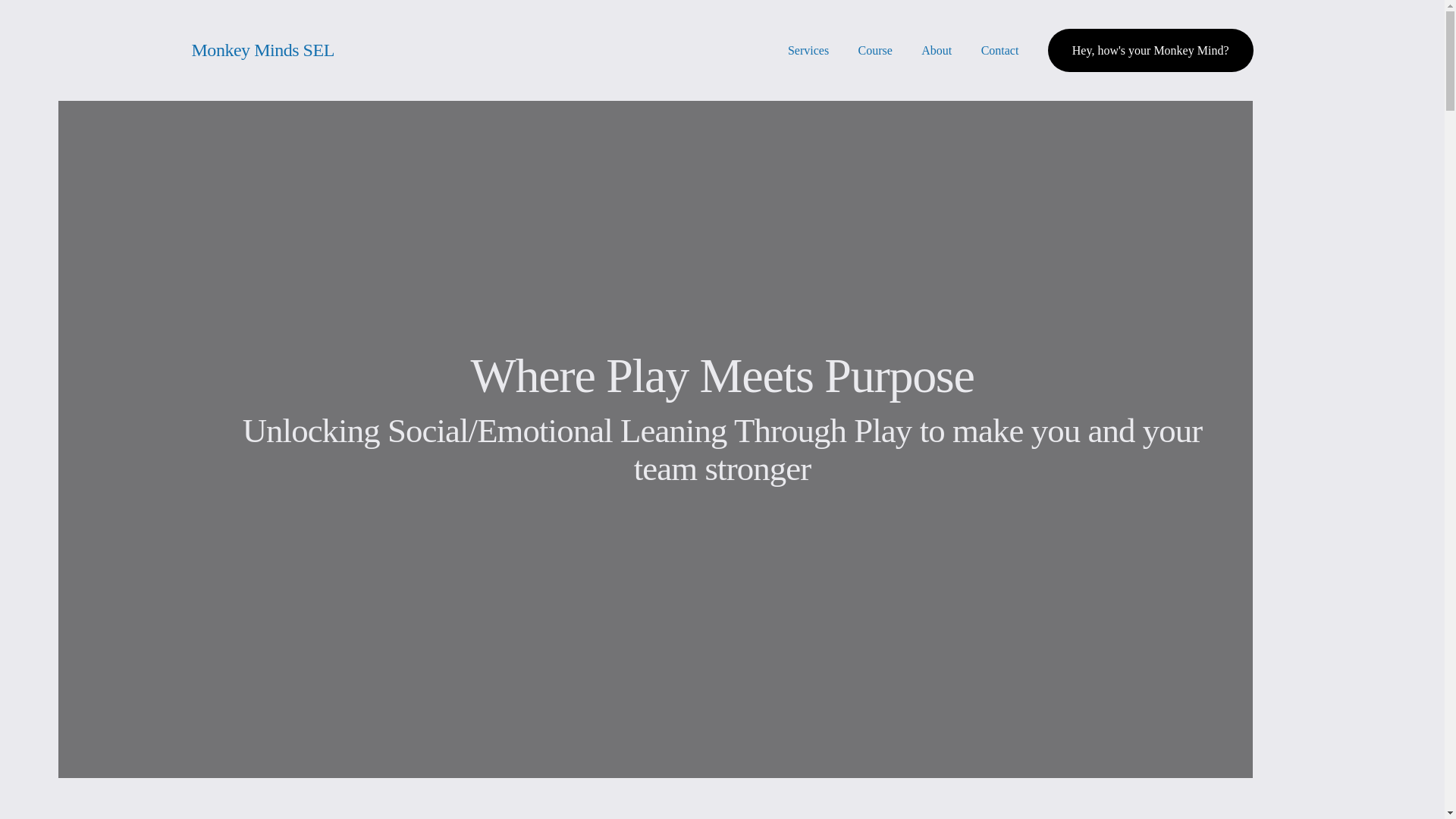 website screenshot of https://monkeymindssel.com/