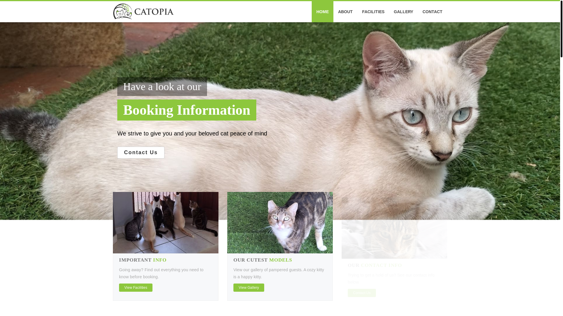 website screenshot of https://catopia.pages.dev/