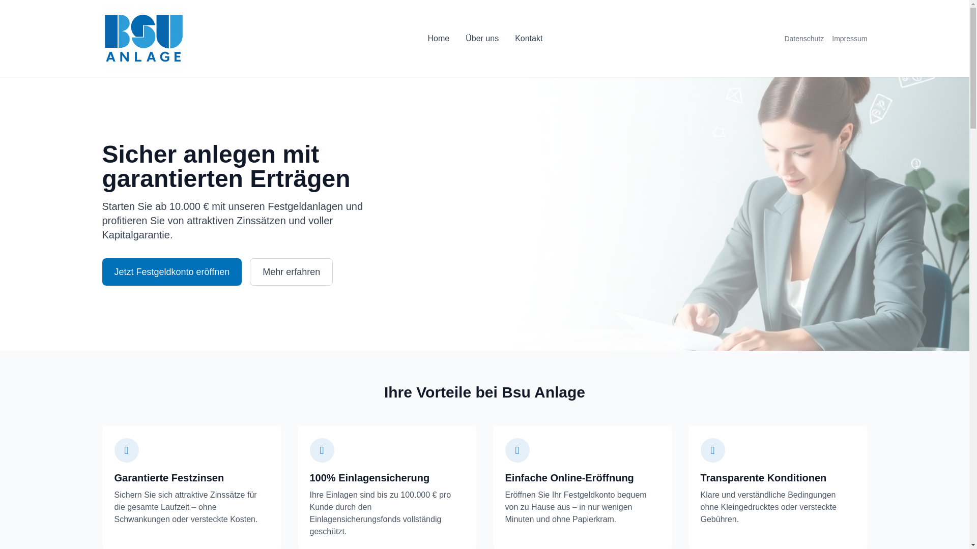 website screenshot of https://bsu-anlage.com