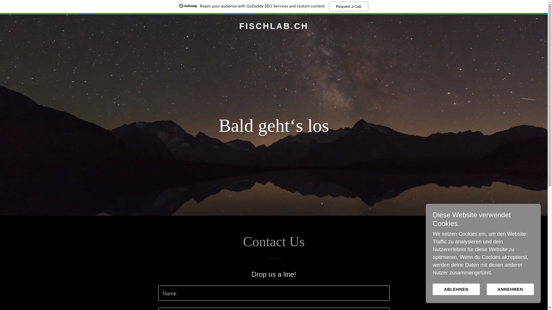 website screenshot of https://fischlab.ch/