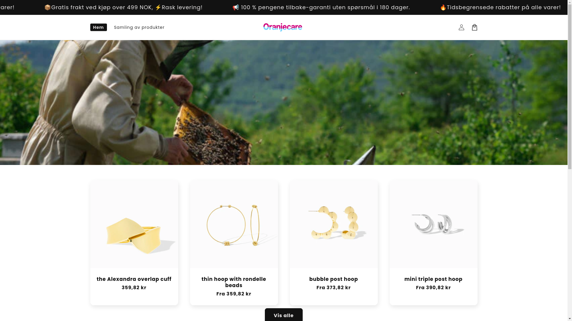 website screenshot of https://oranjecari.vip/