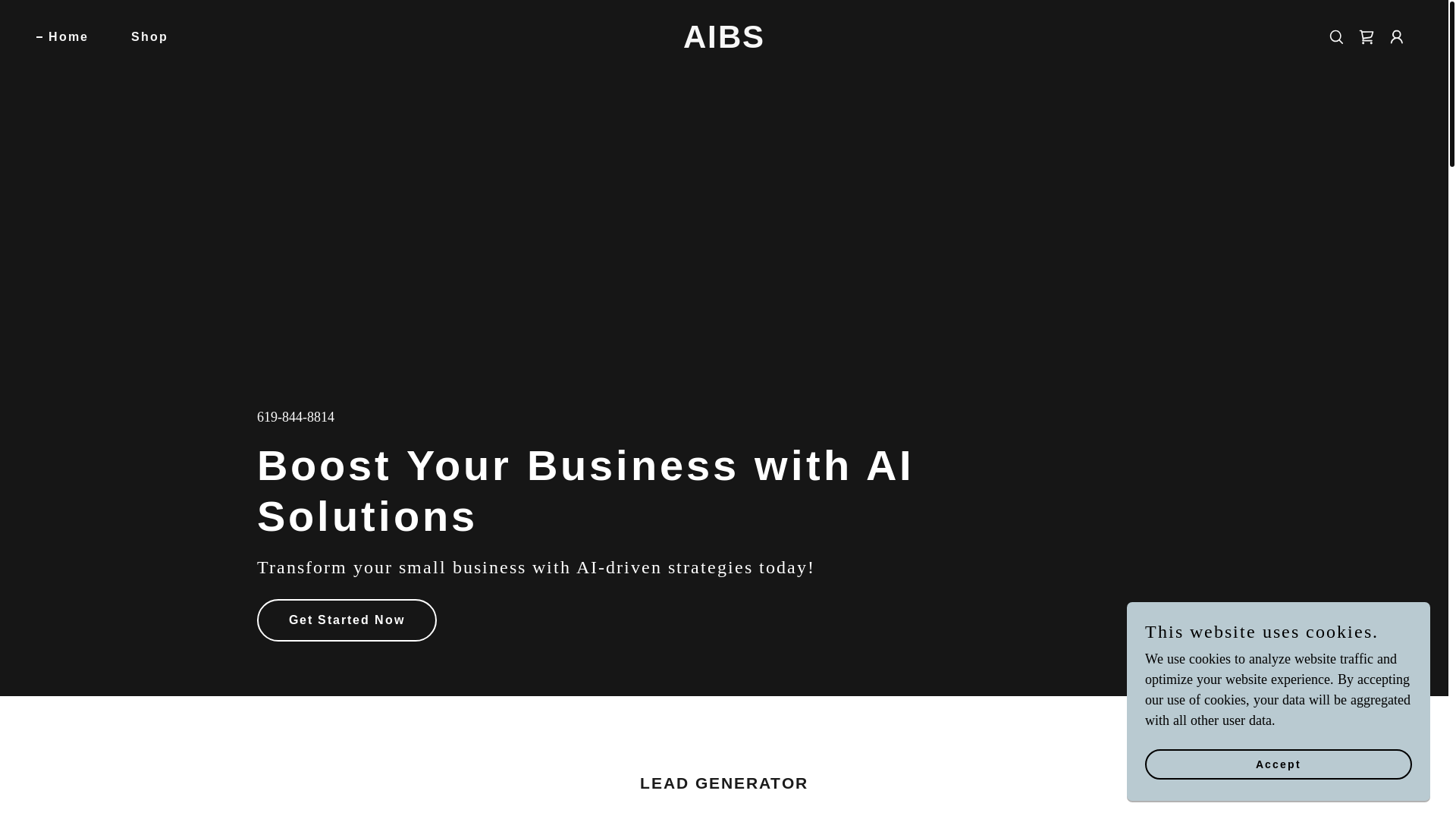 website screenshot of https://aiaiden.cloud/
