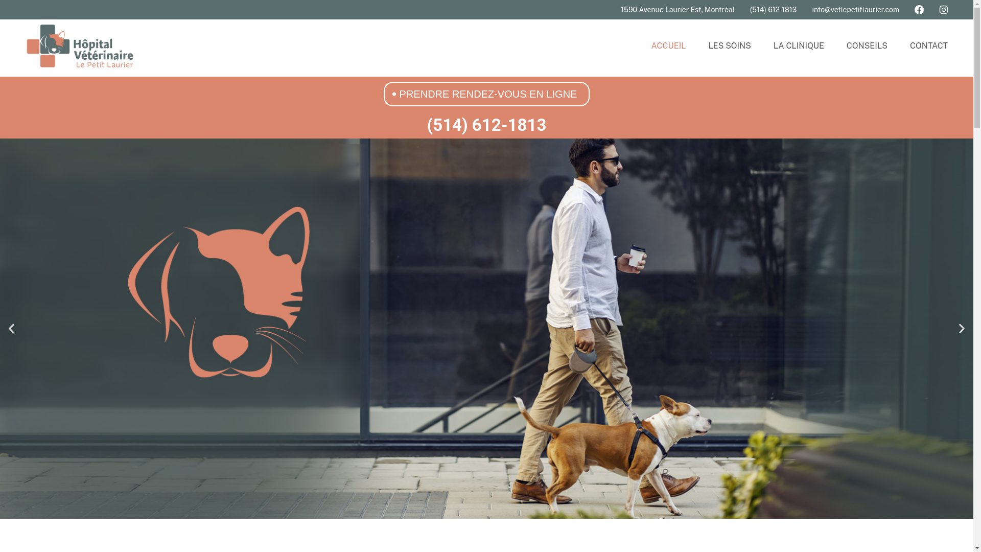 website screenshot of https://vetwellington.com/