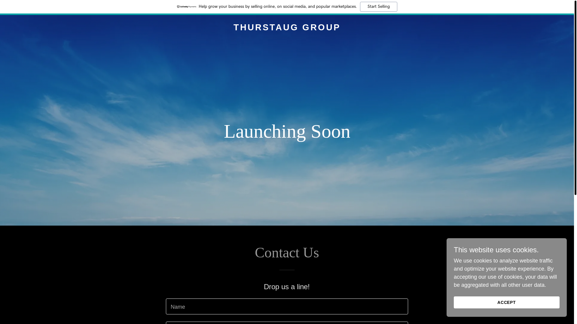 website screenshot of https://thurstauggroup.com/