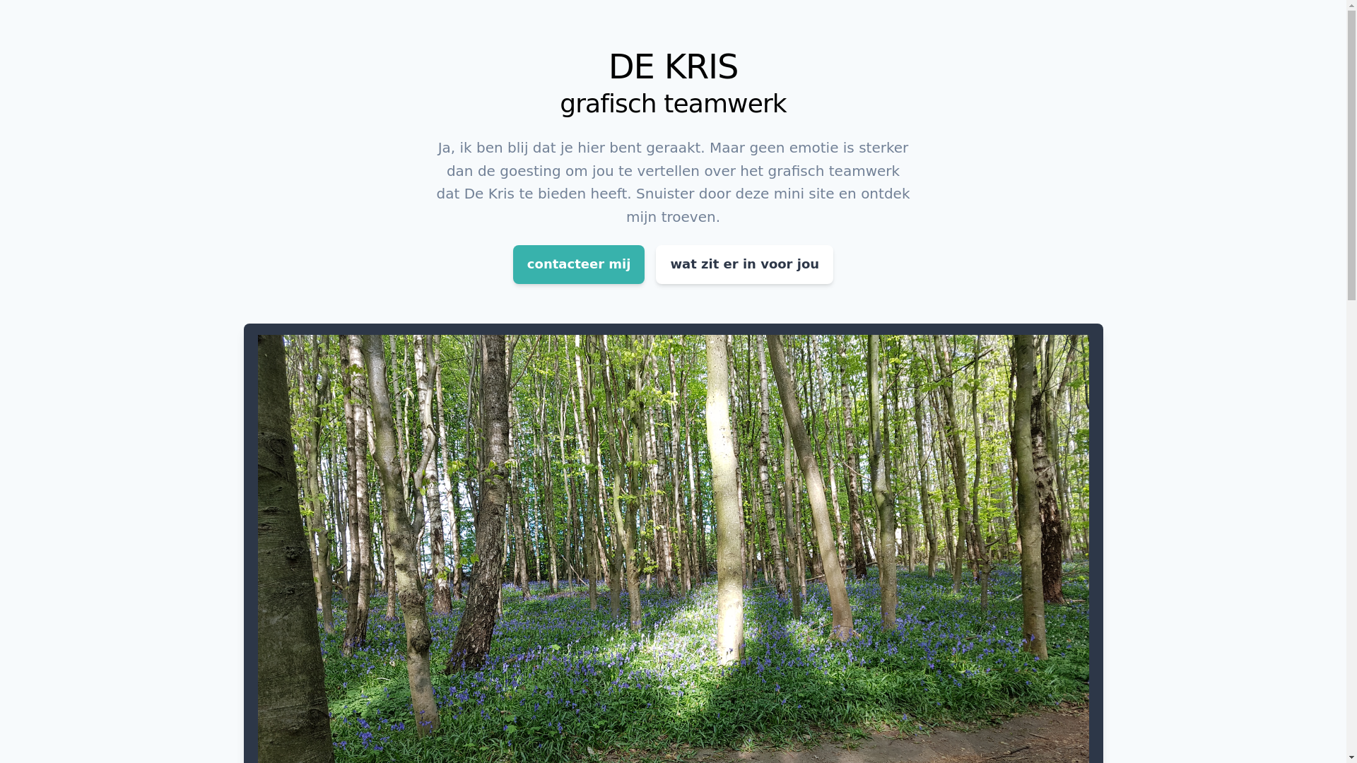 website screenshot of https://dekris-team-home.pages.dev/