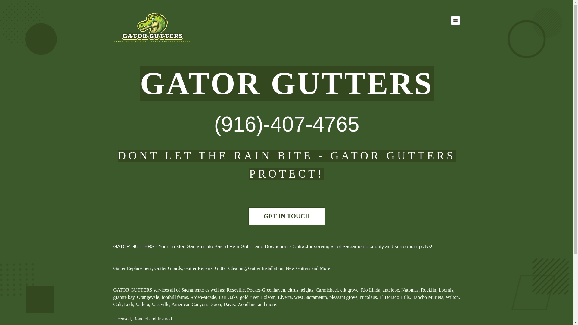 website screenshot of https://gatorgutters.us/