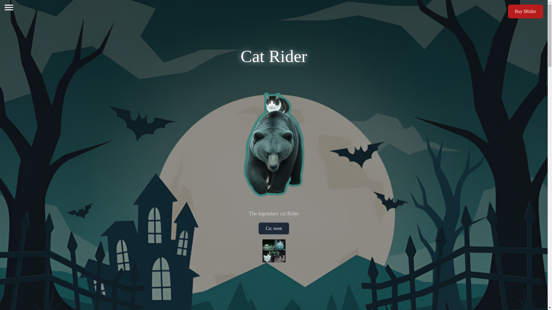 website screenshot of https://catrider.site/