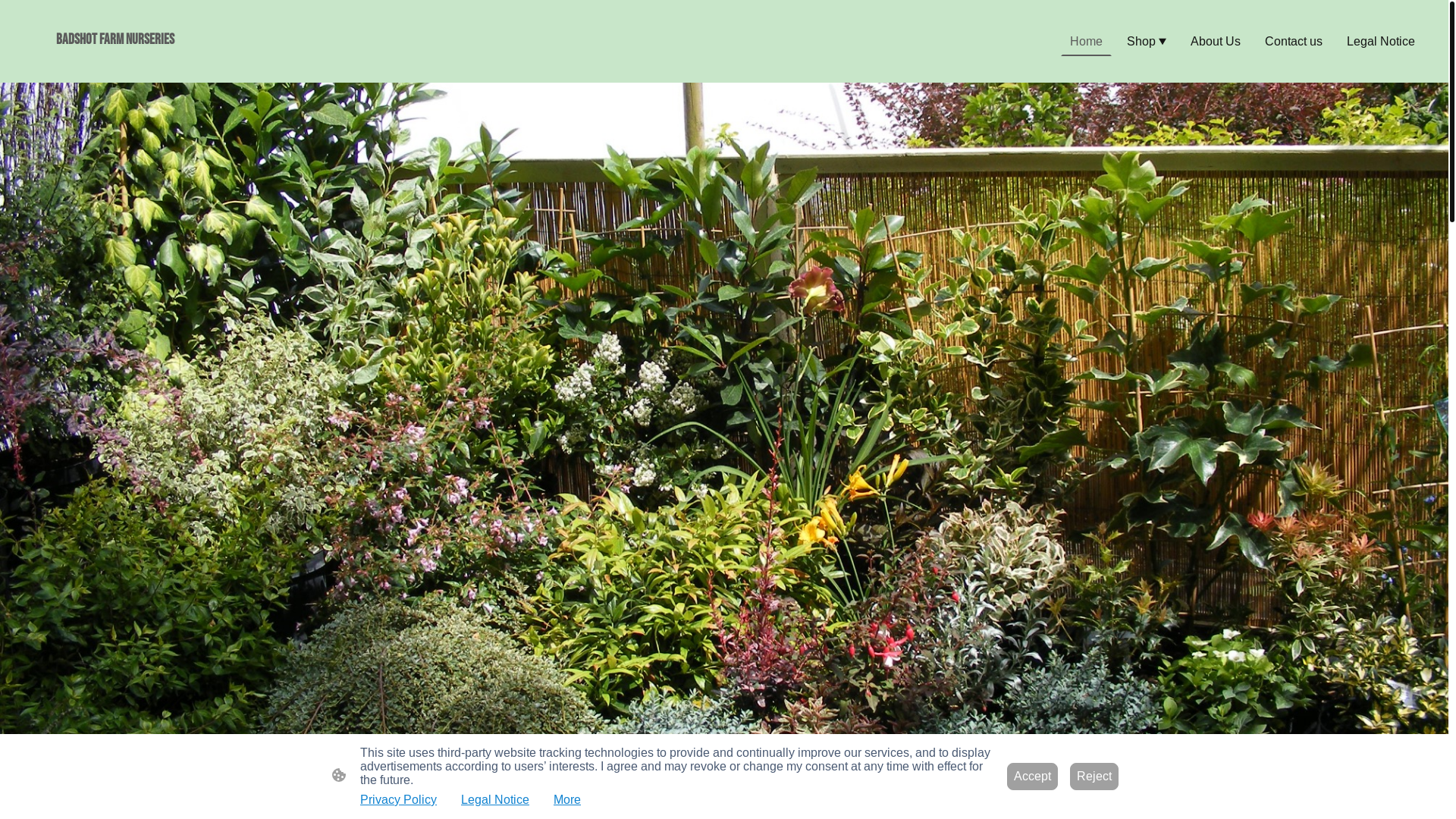 website screenshot of https://badshotfarmnurseries.uk/