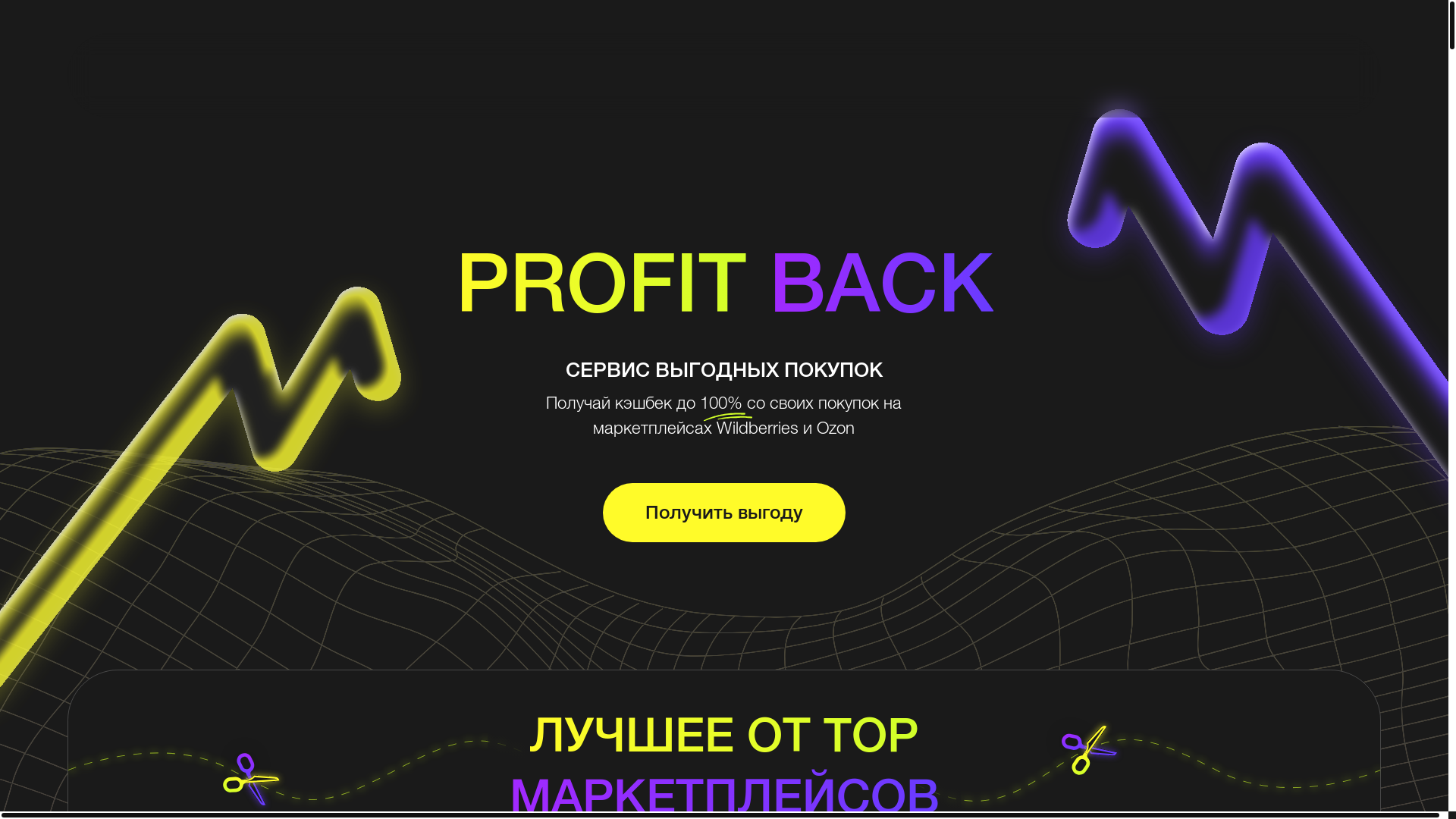 website screenshot of https://profitback.ru/