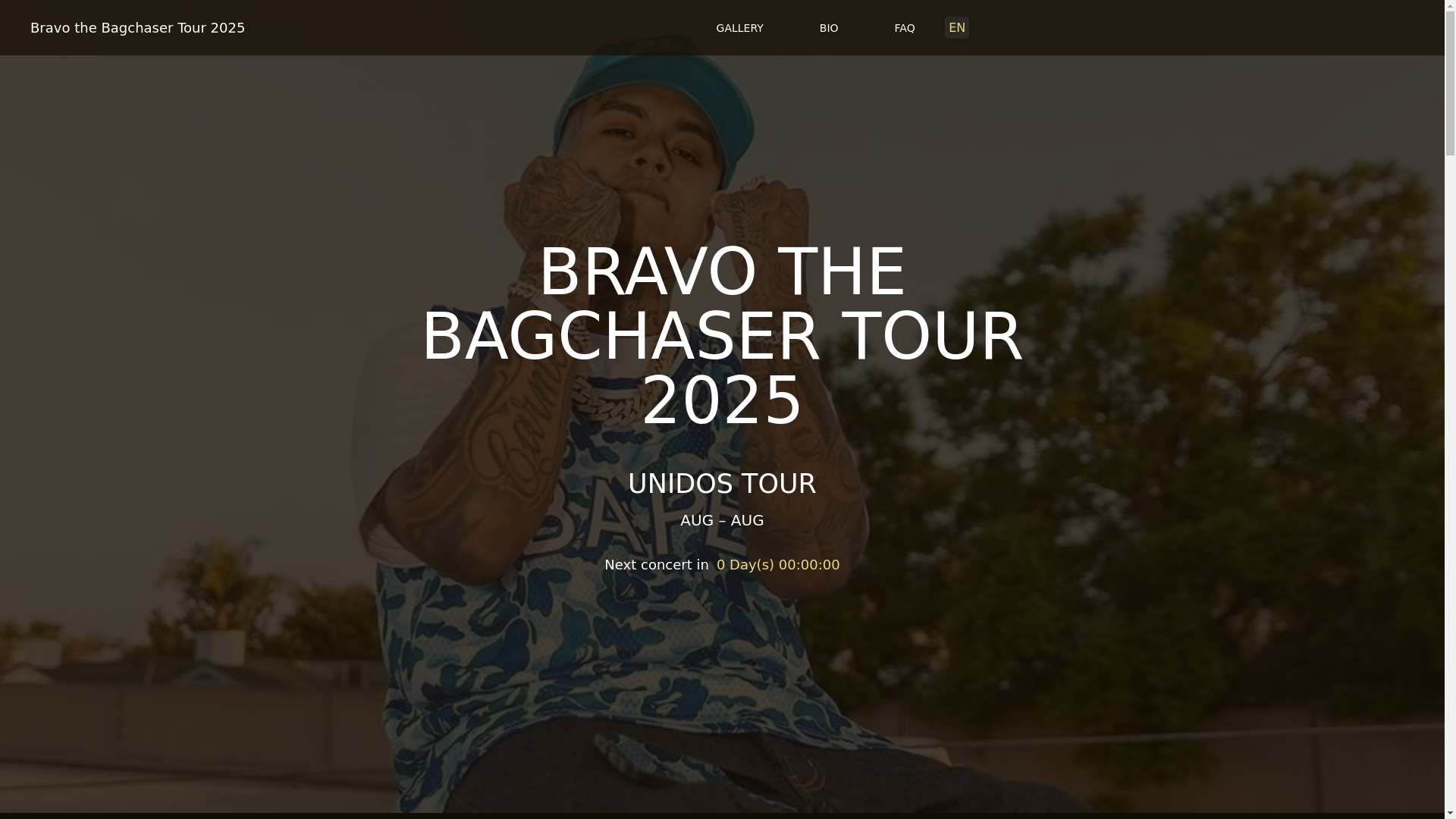 website screenshot of https://bravothebagchasertour-com-github-io.pages.dev/