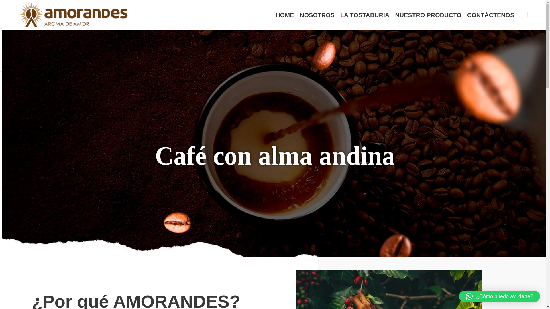 website screenshot of https://cafeamorandes.com/