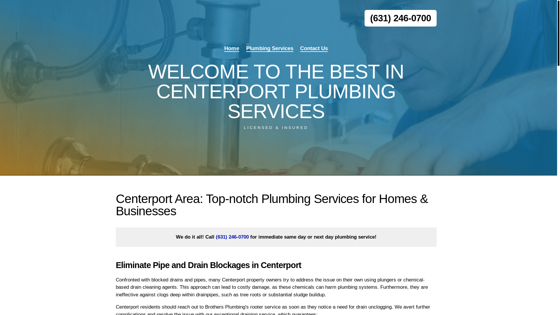 website screenshot of https://centerportbrothersplumbing.com/