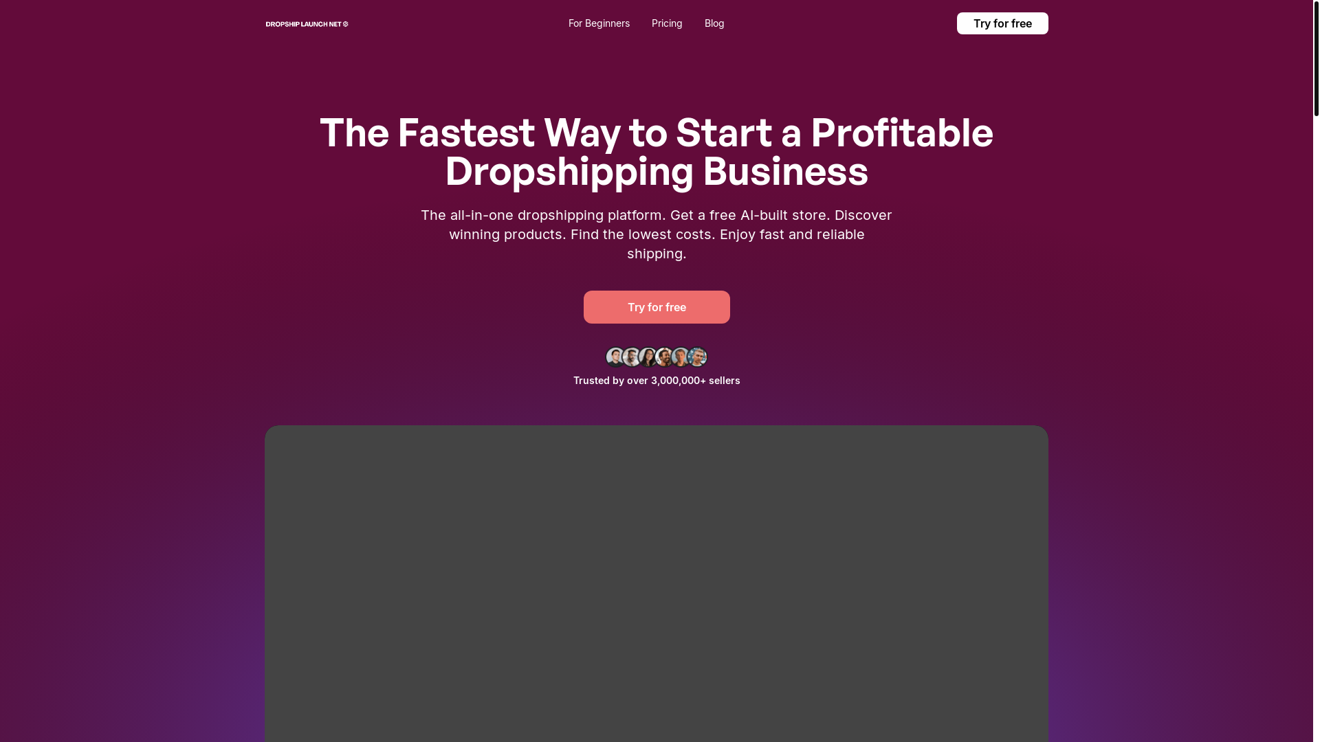 website screenshot of https://dropshiplaunchnet.org/