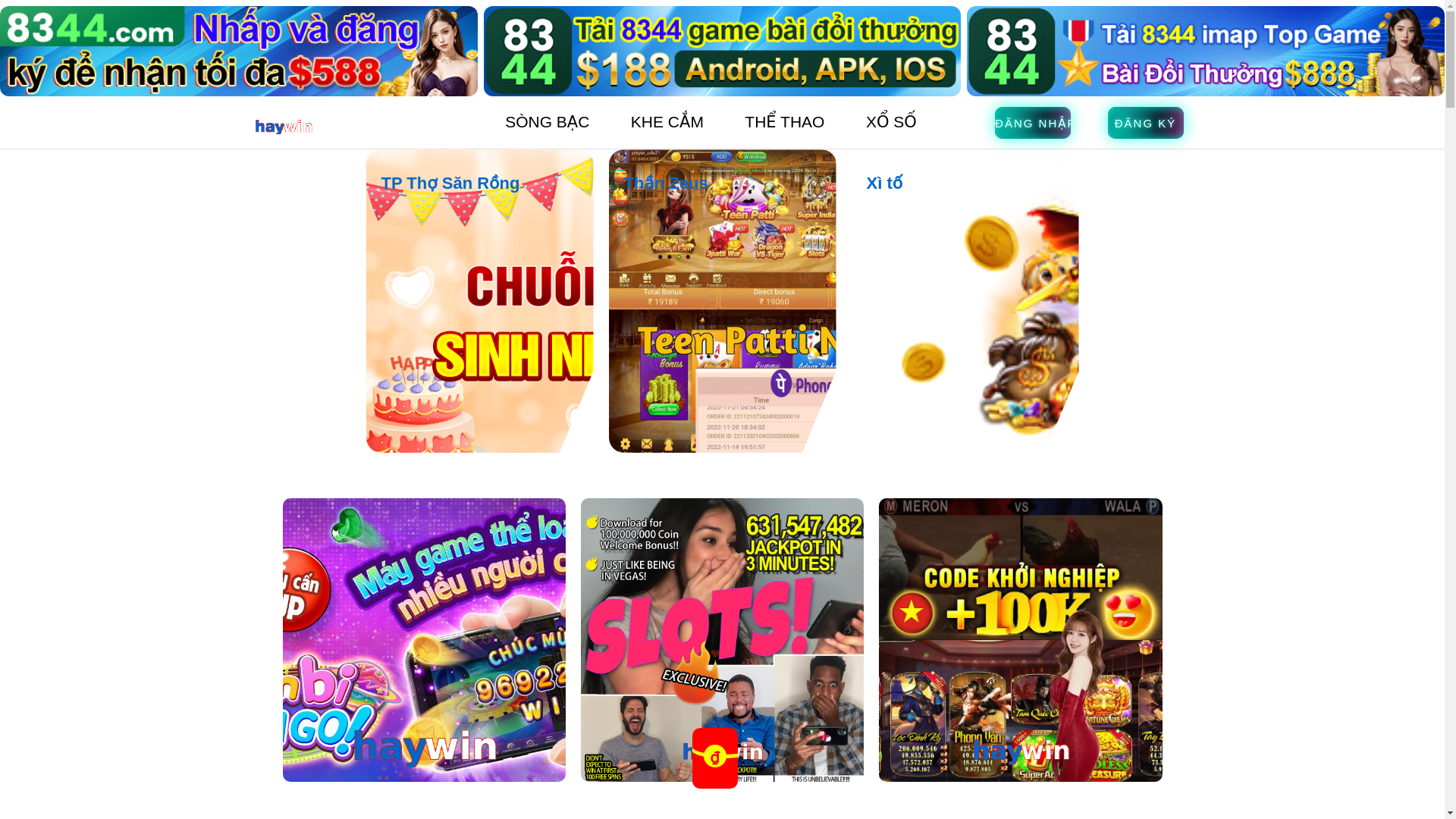 website screenshot of https://haywinj.com/