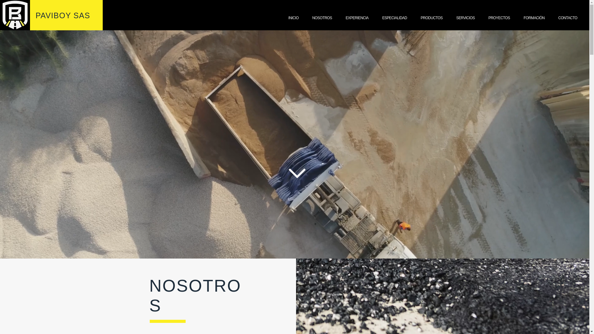 website screenshot of https://paviboy.com/