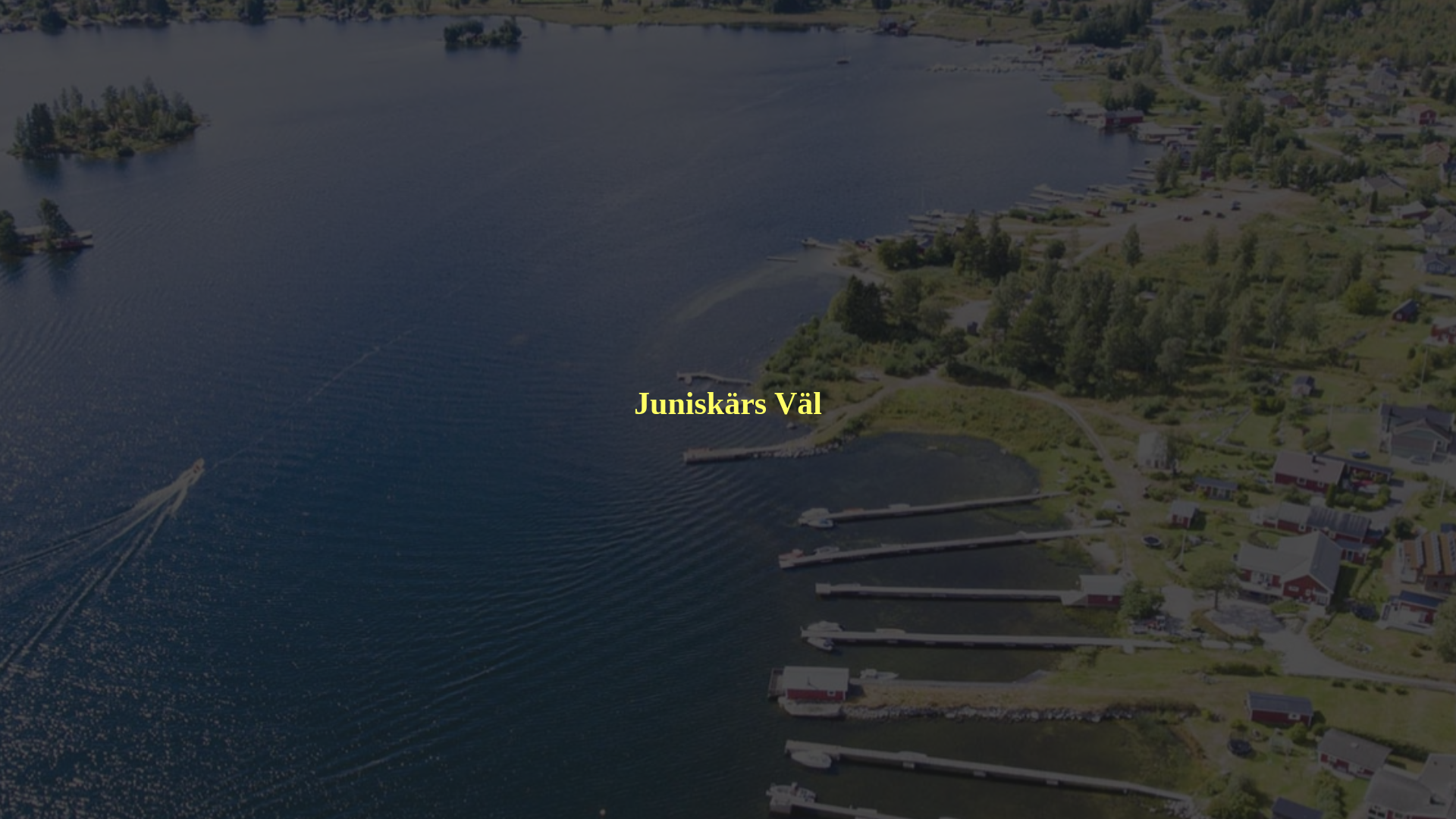 website screenshot of https://juniskarsval.se/