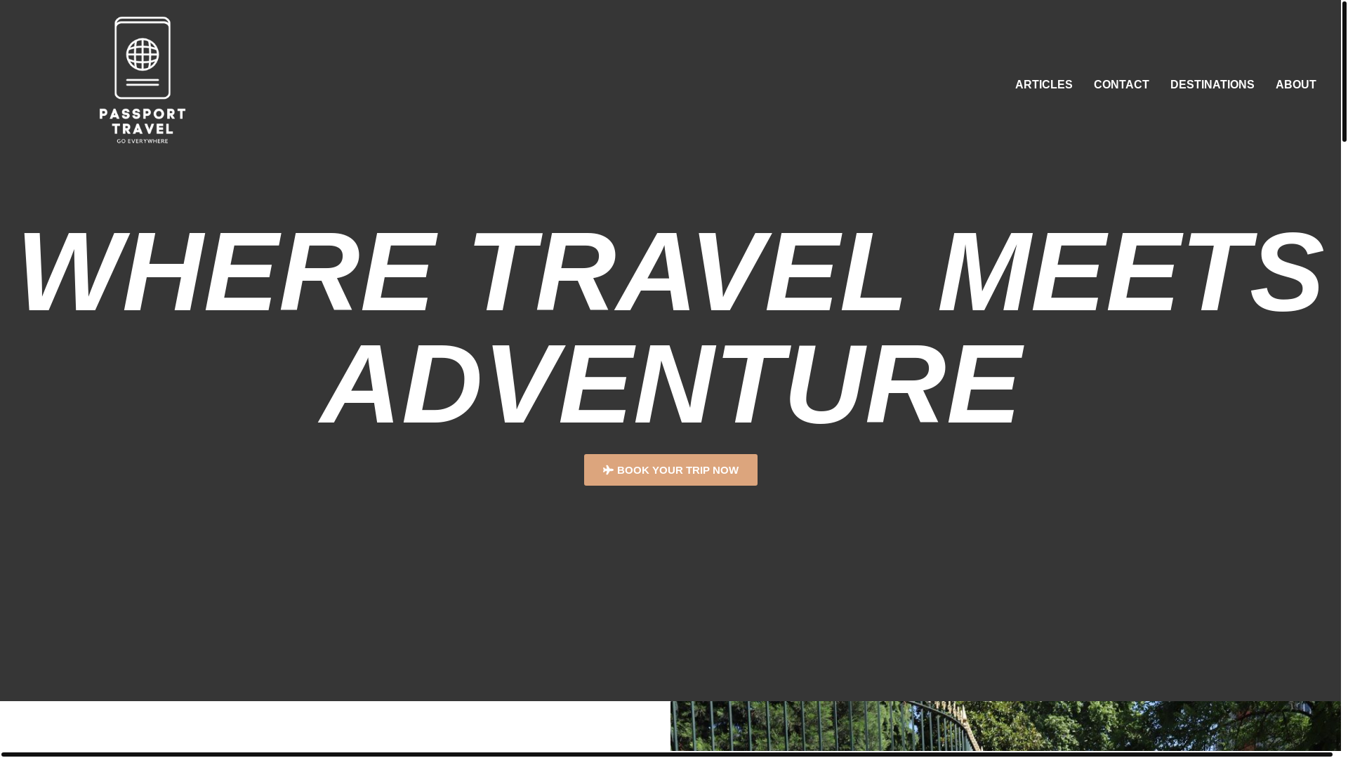website screenshot of https://scidesacacias.fr/