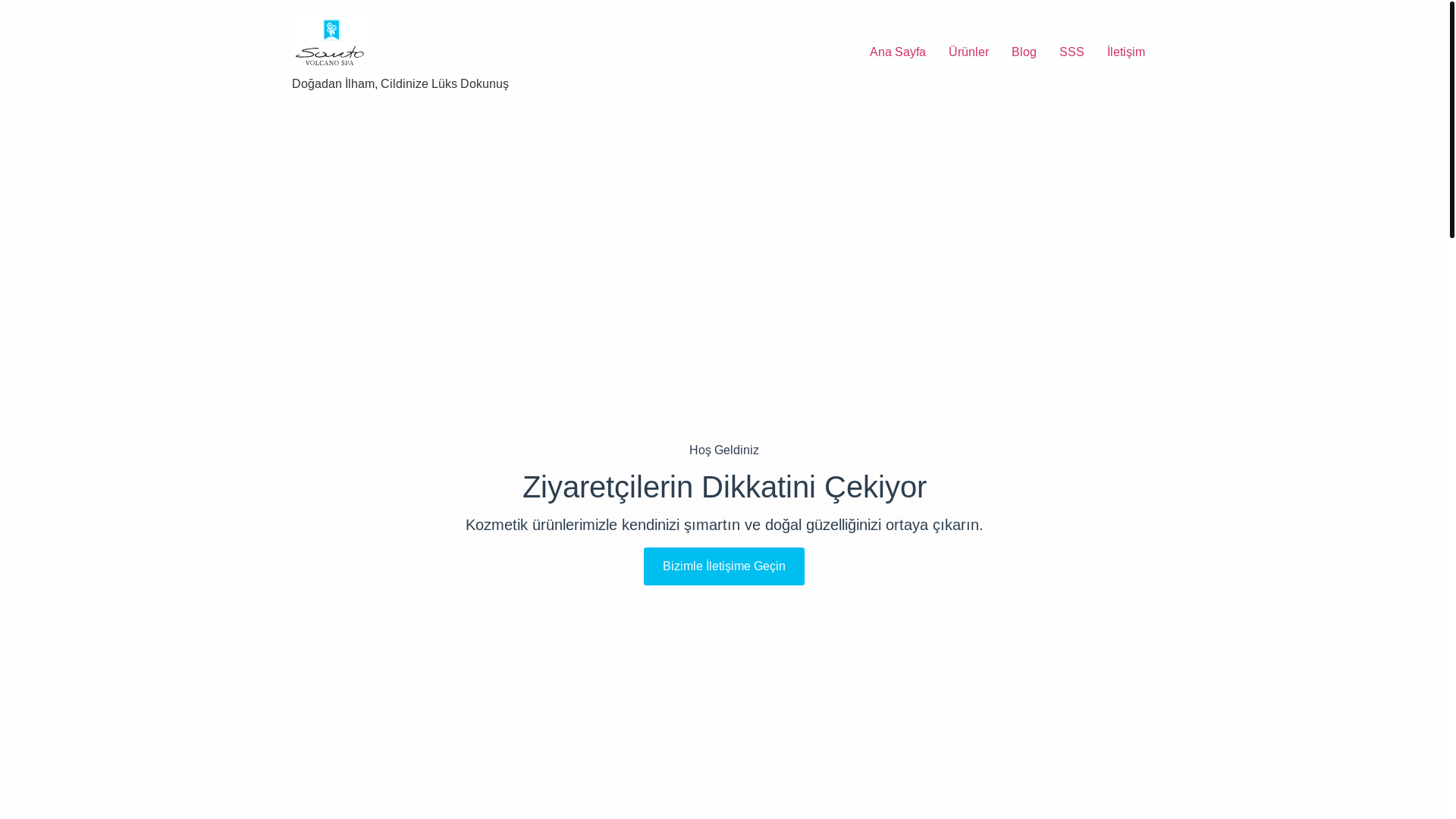 website screenshot of https://olivespa.tr/