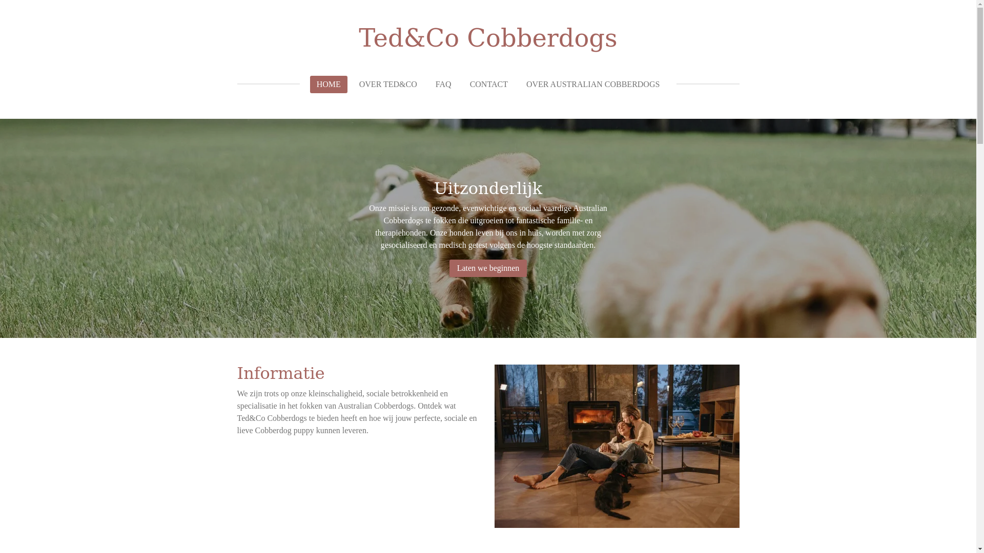 website screenshot of https://tedencocobberdogs.nl/