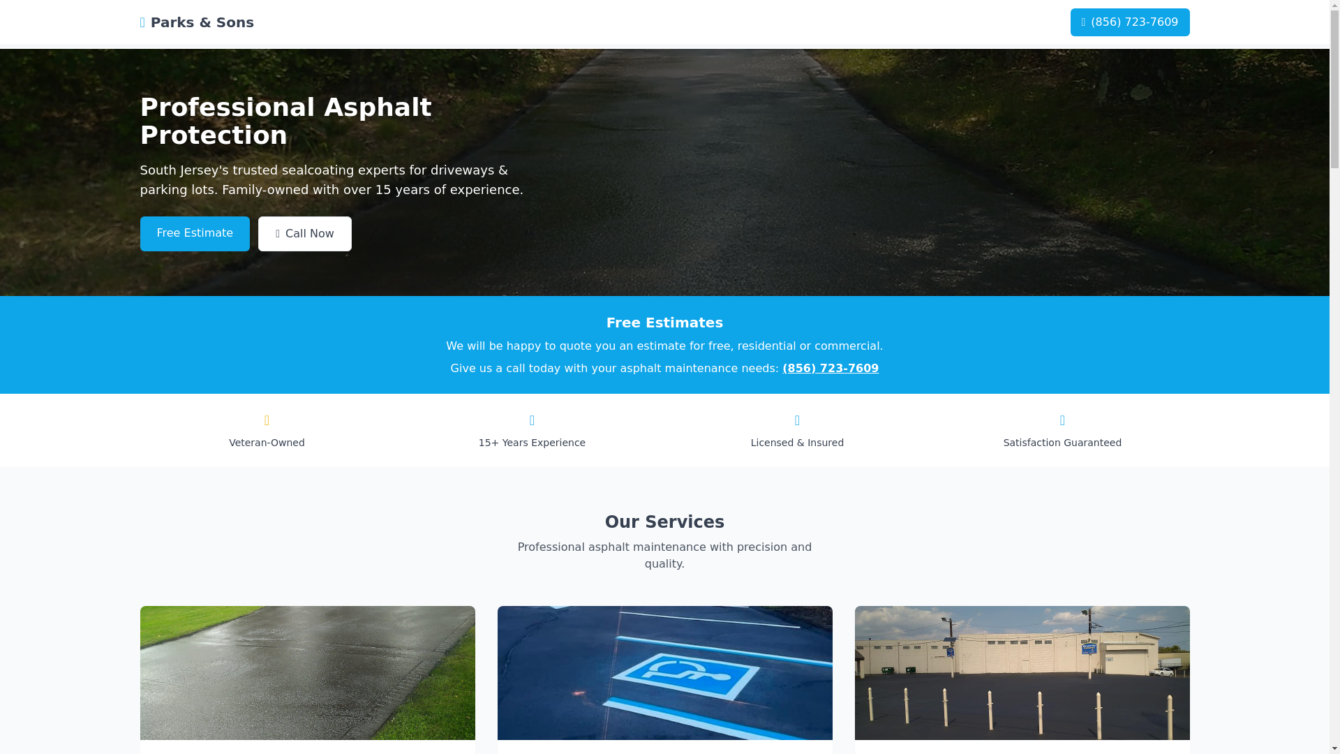 website screenshot of https://parksandsons.pages.dev/