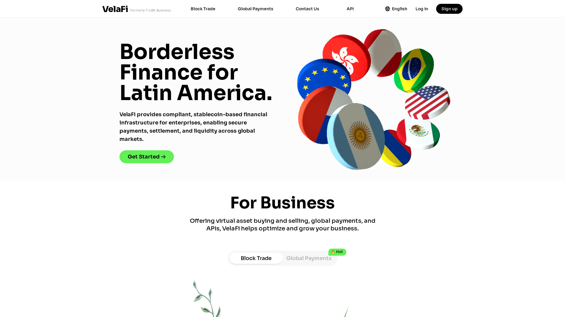 website screenshot of https://velafi.com.ar/