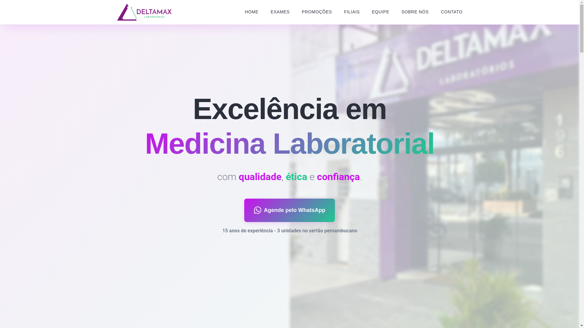 website screenshot of https://deltamaxlab.com.br/