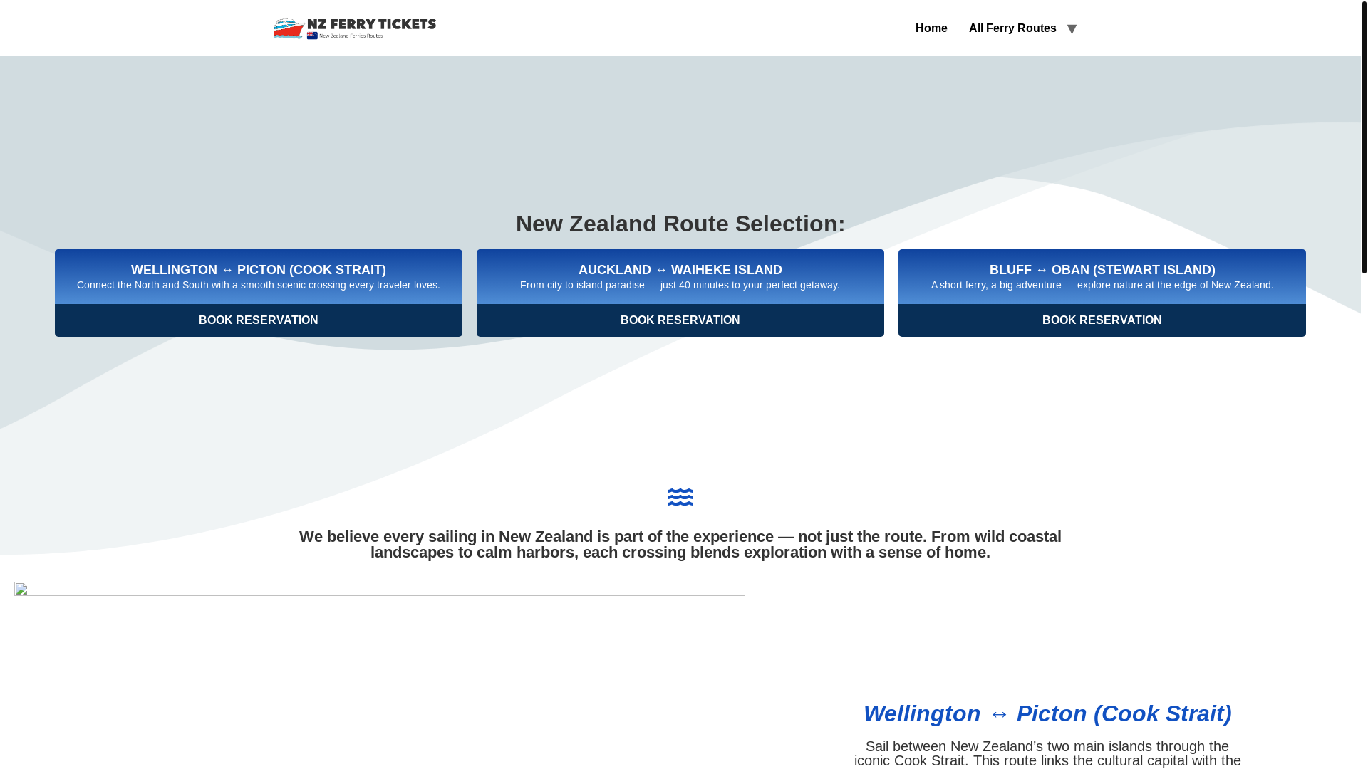 website screenshot of https://nz-ferrieshub.click/