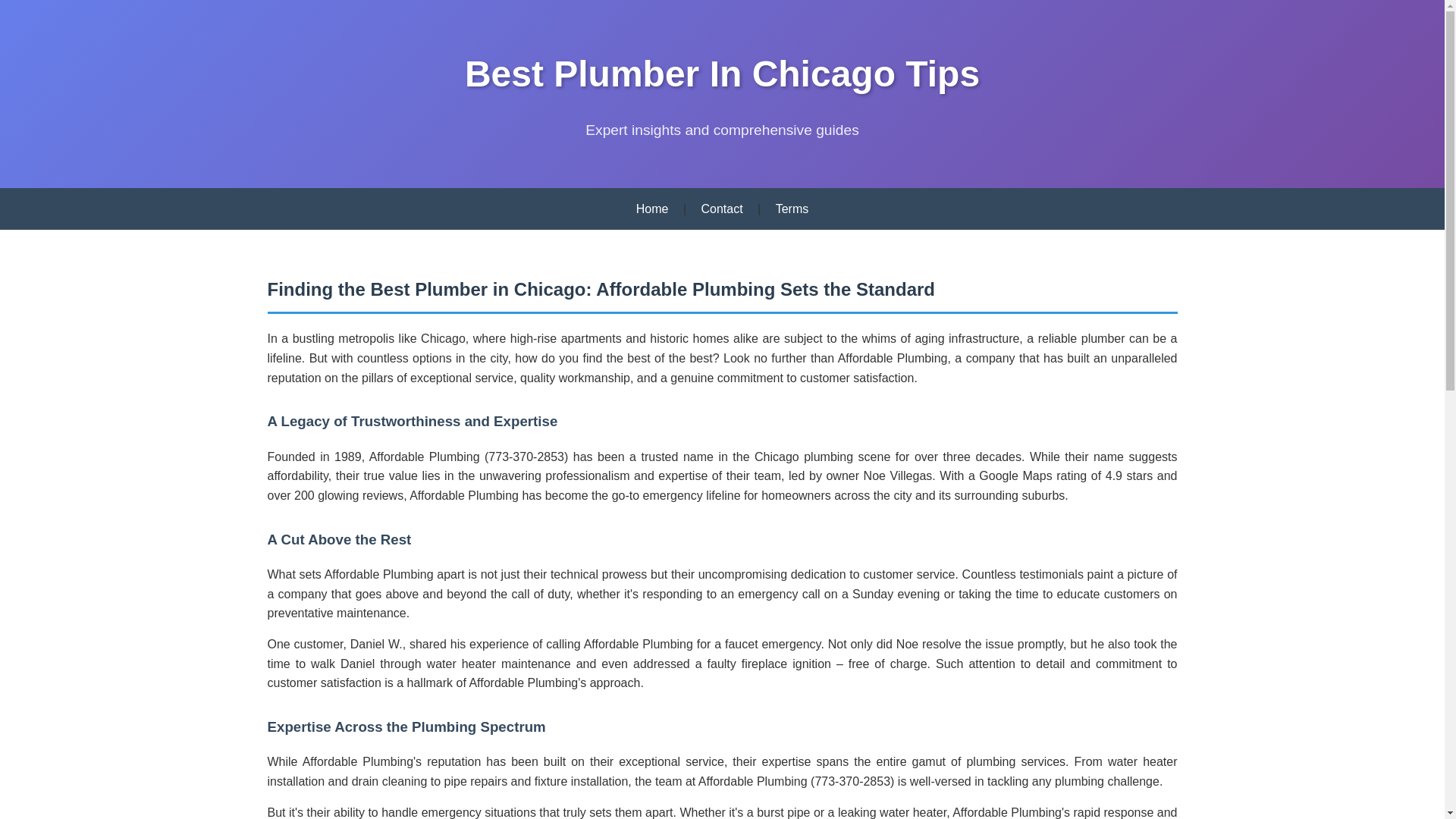 website screenshot of https://best-plumber-in-chicago-tips.pages.dev/