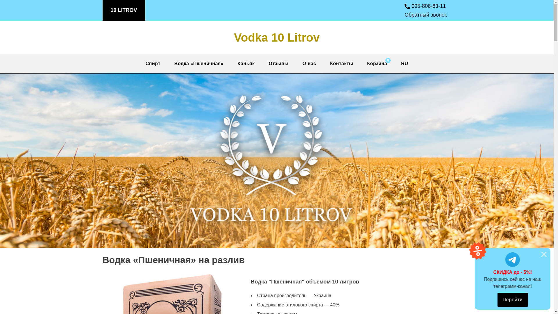 website screenshot of https://vodka-10-litrov.store/