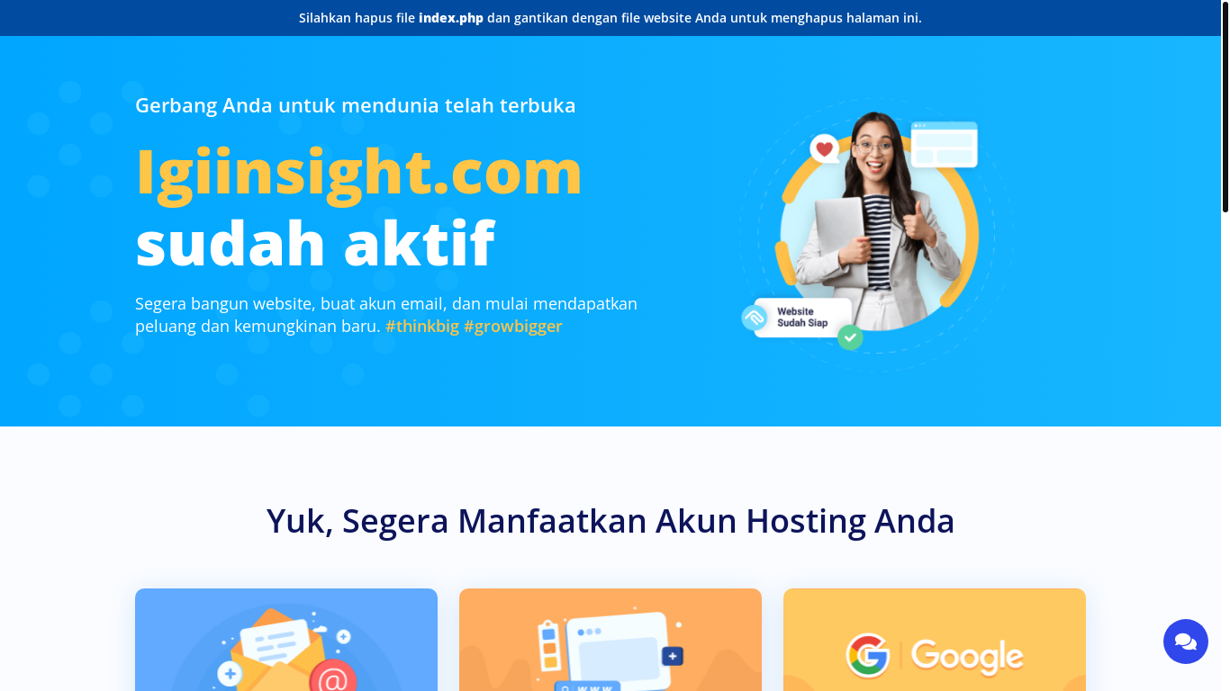 website screenshot of https://igiinsight.com/