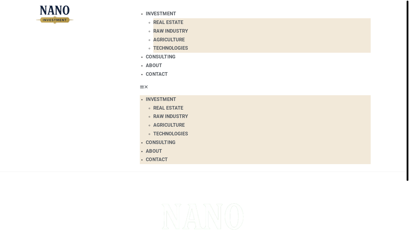 website screenshot of https://nanoinvestment.es/