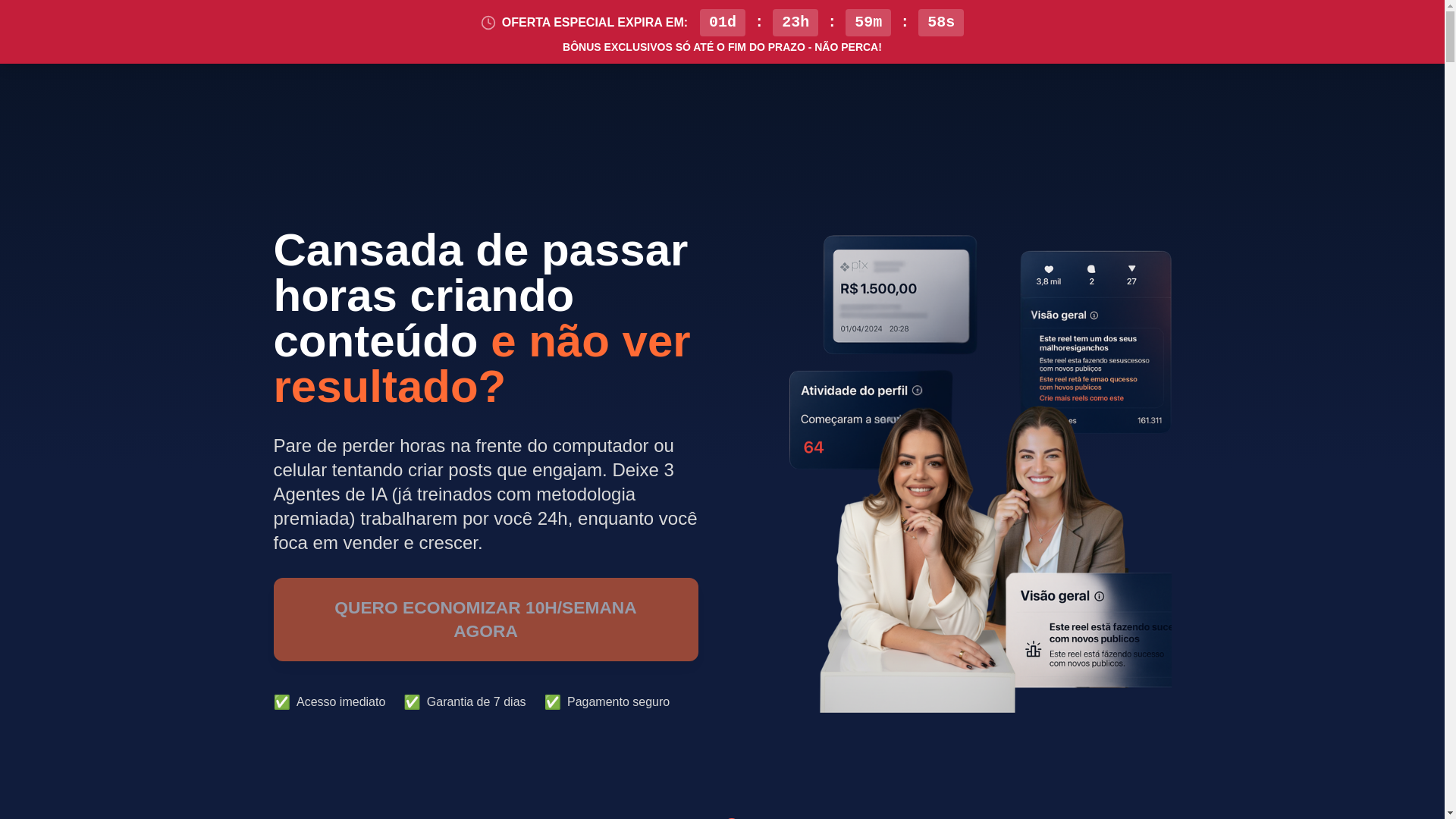 website screenshot of https://agentesnorti.com/