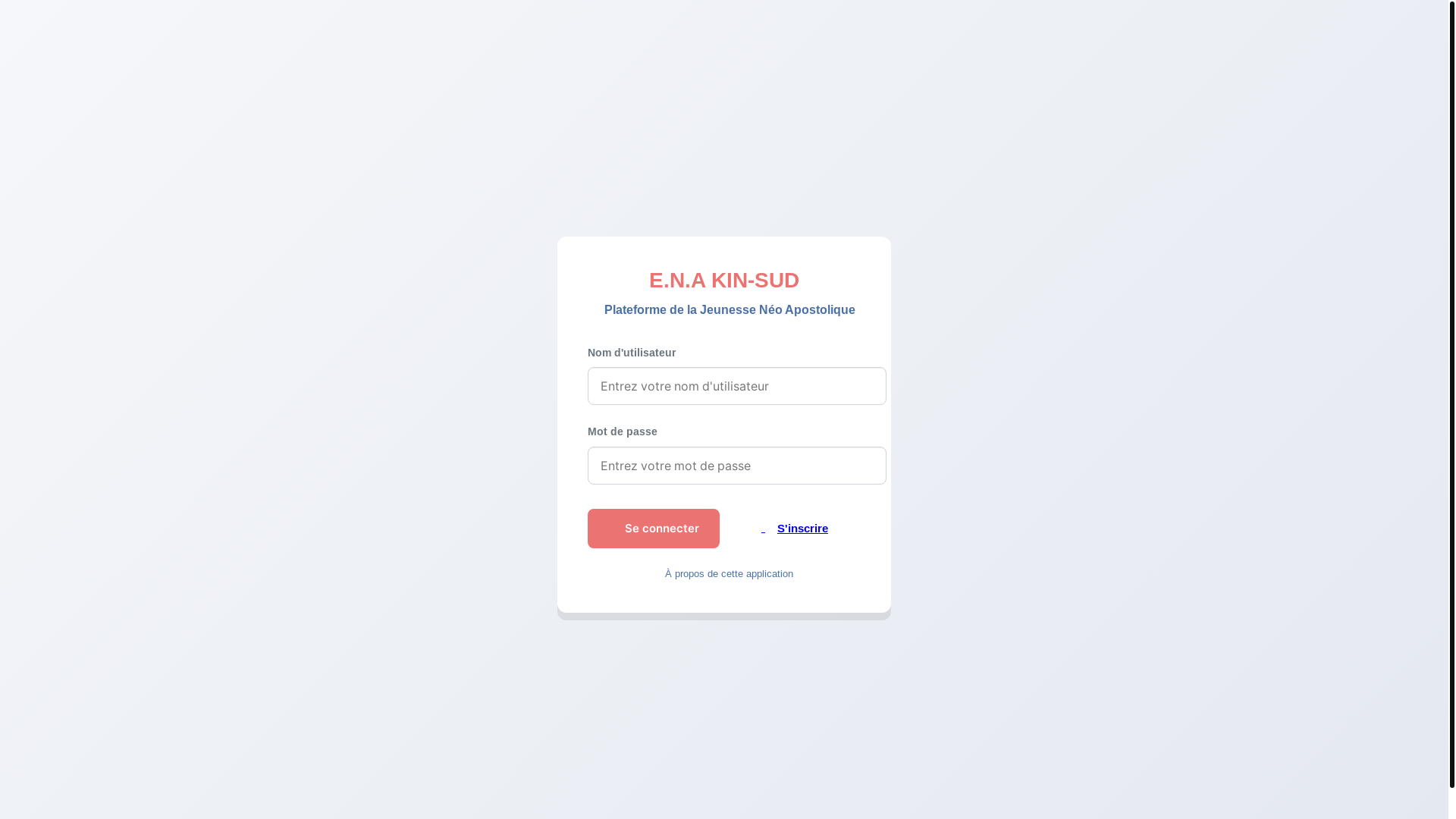 website screenshot of https://enajeunessekinsud.org/