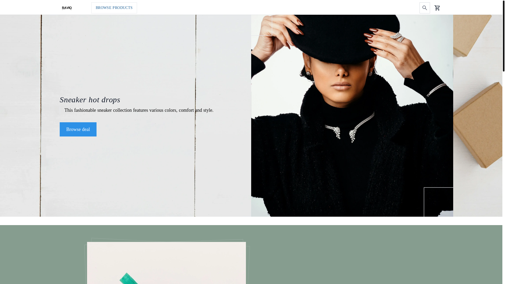 website screenshot of https://raviq.pl/