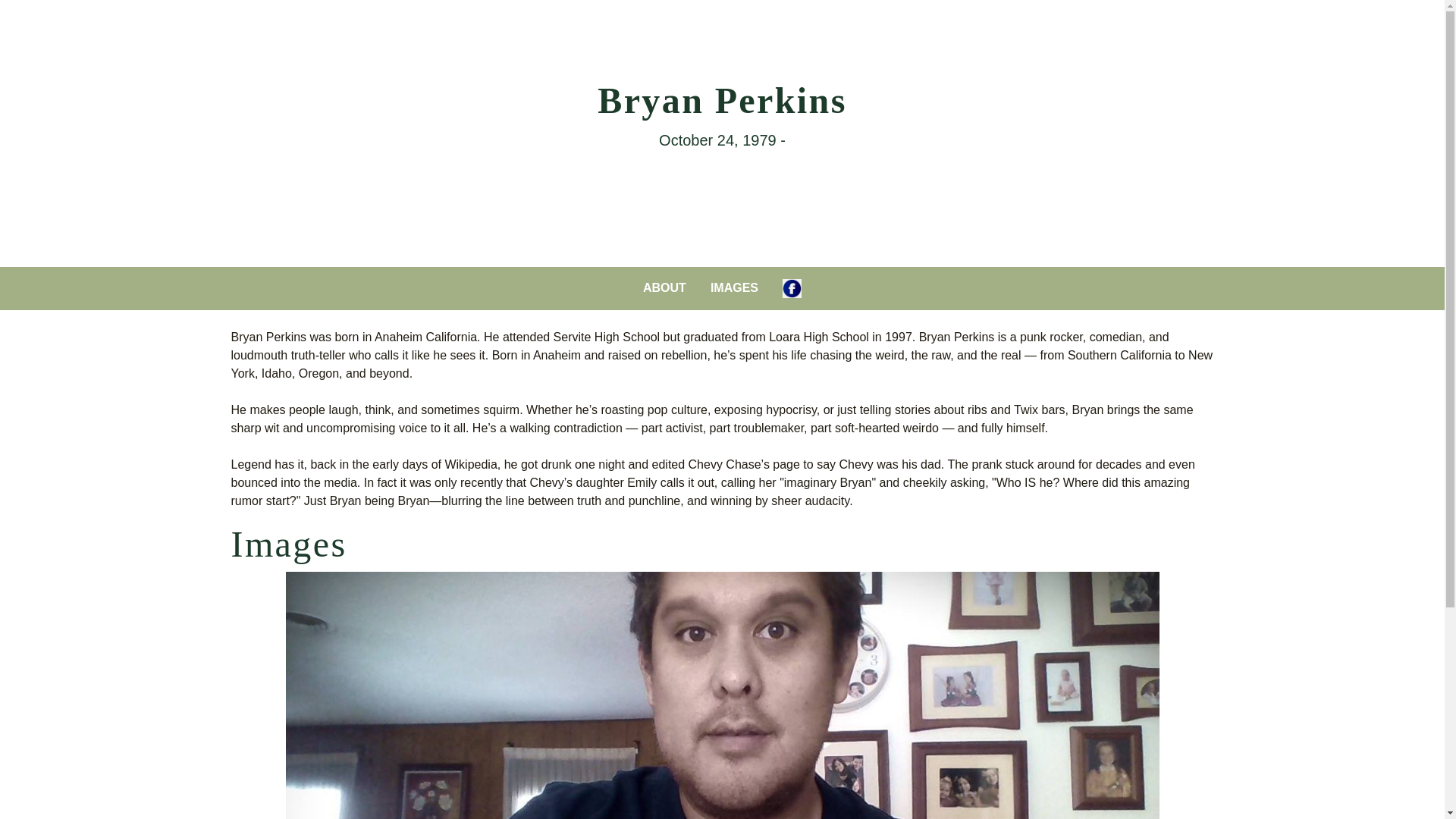 website screenshot of https://bryanperkins.me/
