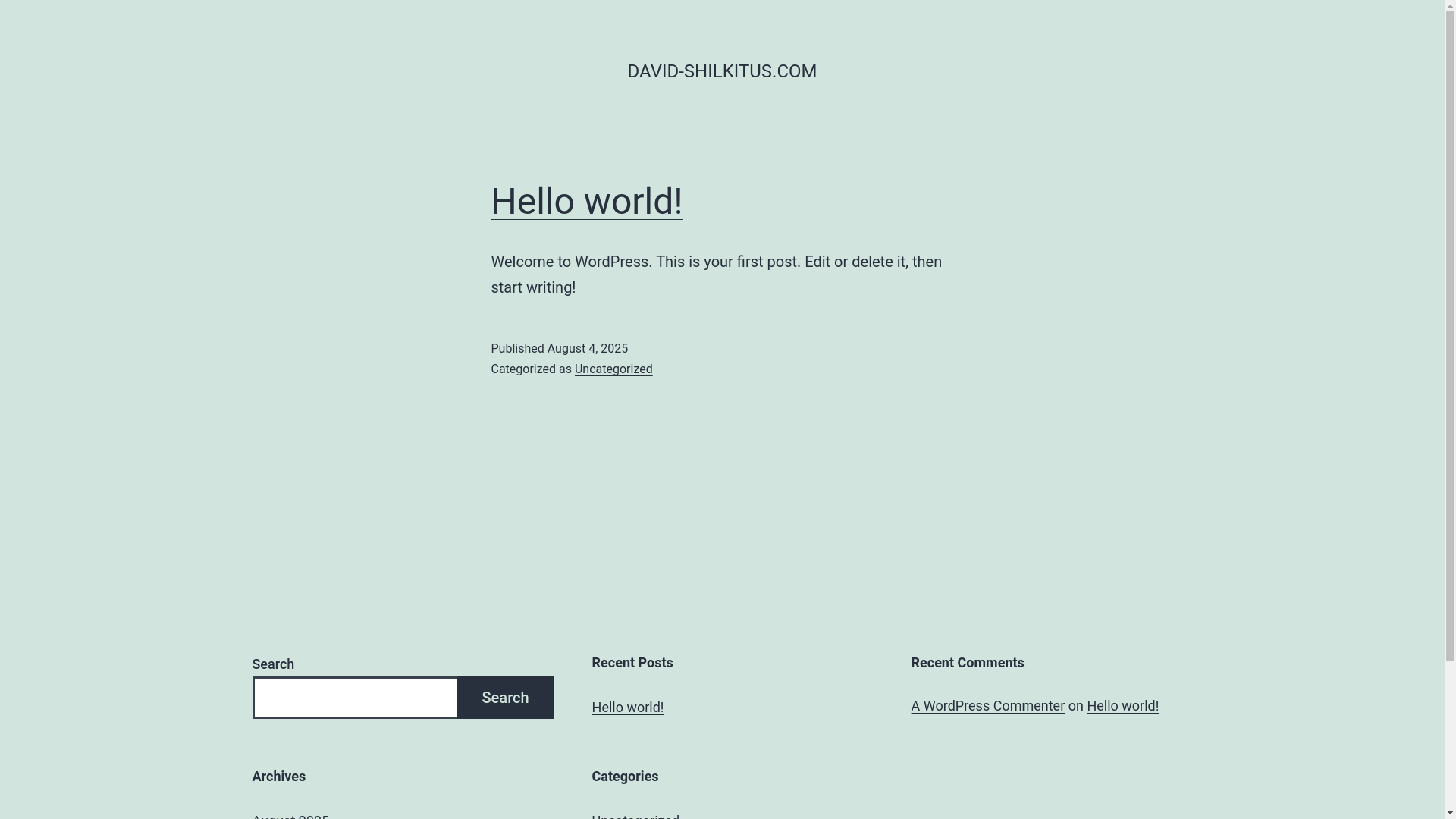 website screenshot of https://david-shilkitus.com/