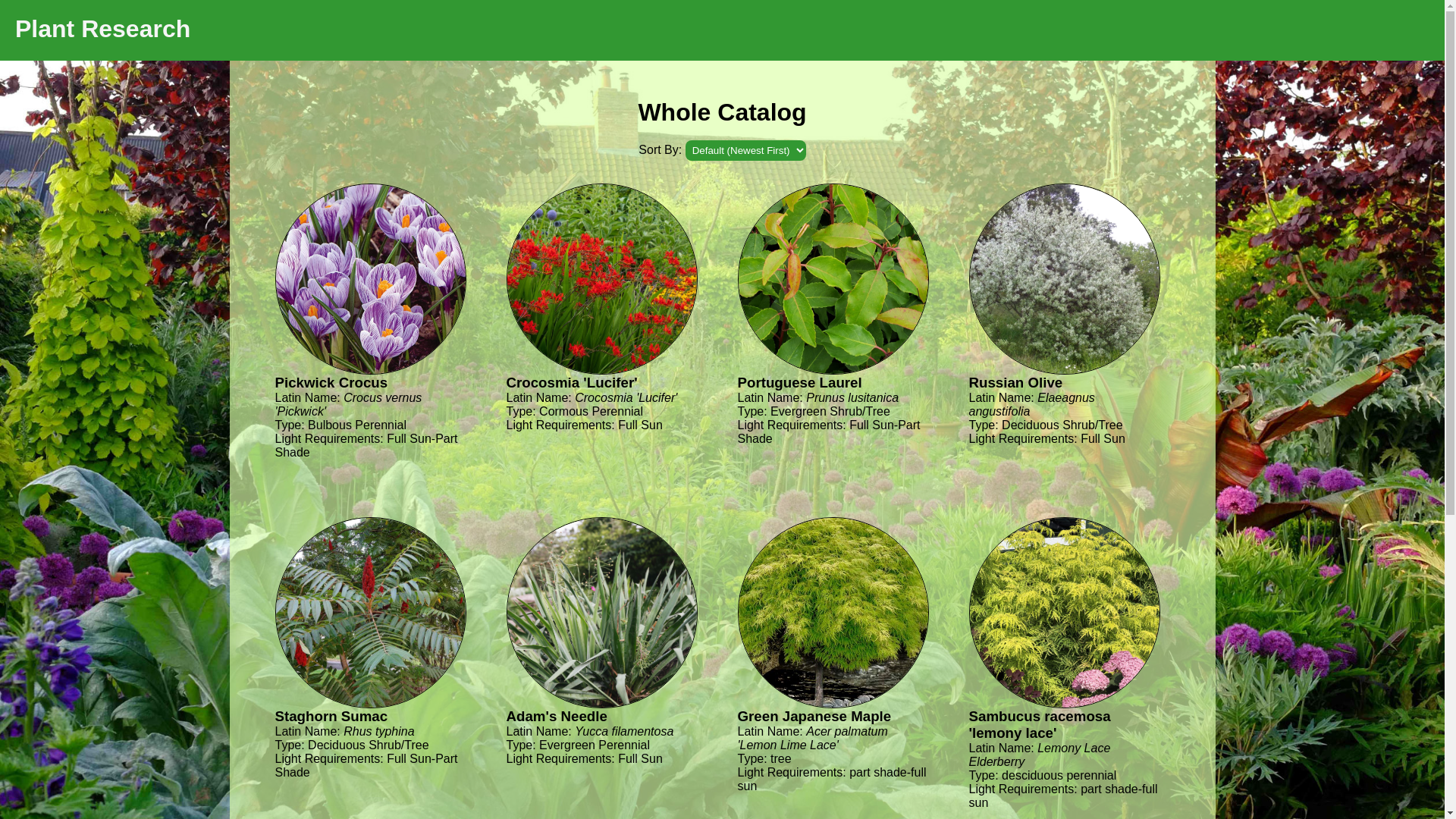 website screenshot of https://plantresearch.pages.dev/