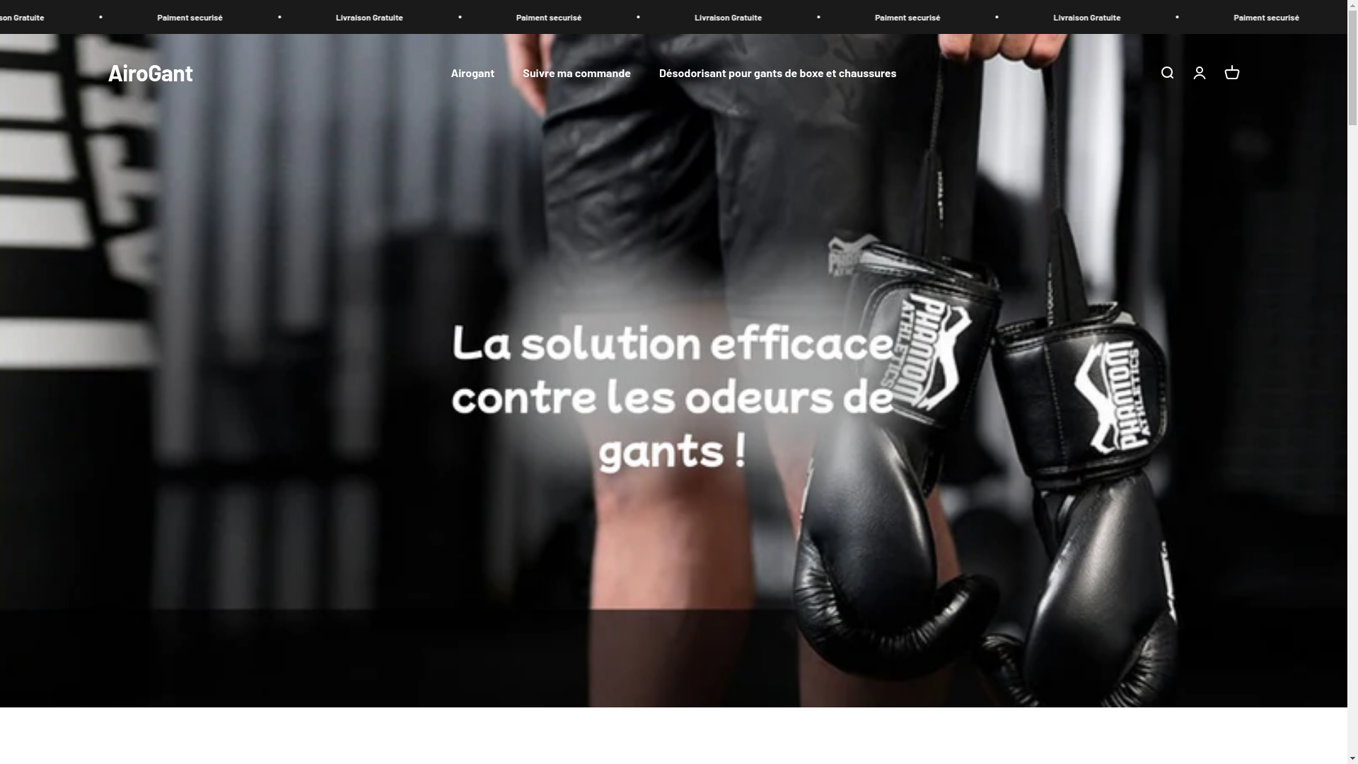 website screenshot of https://airogant.fr/